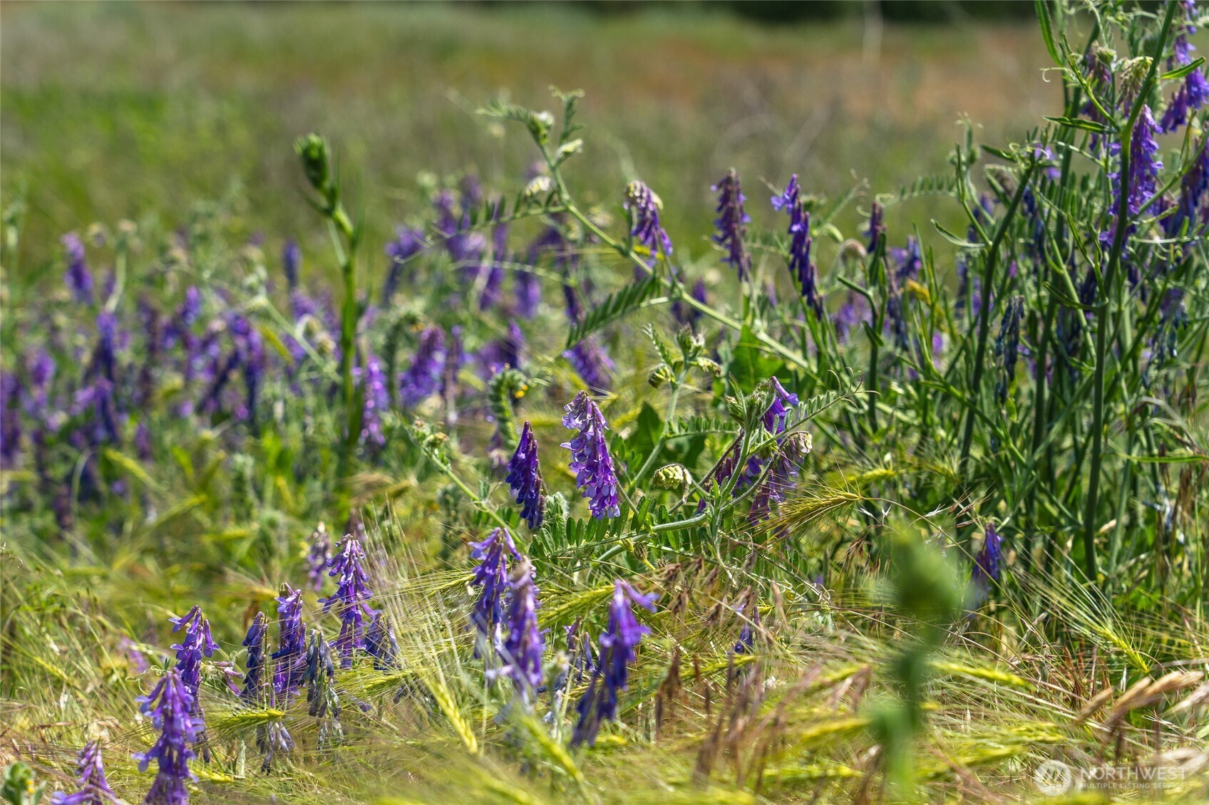 36000 S Bootstrap Ln Lot C Property Photo 15