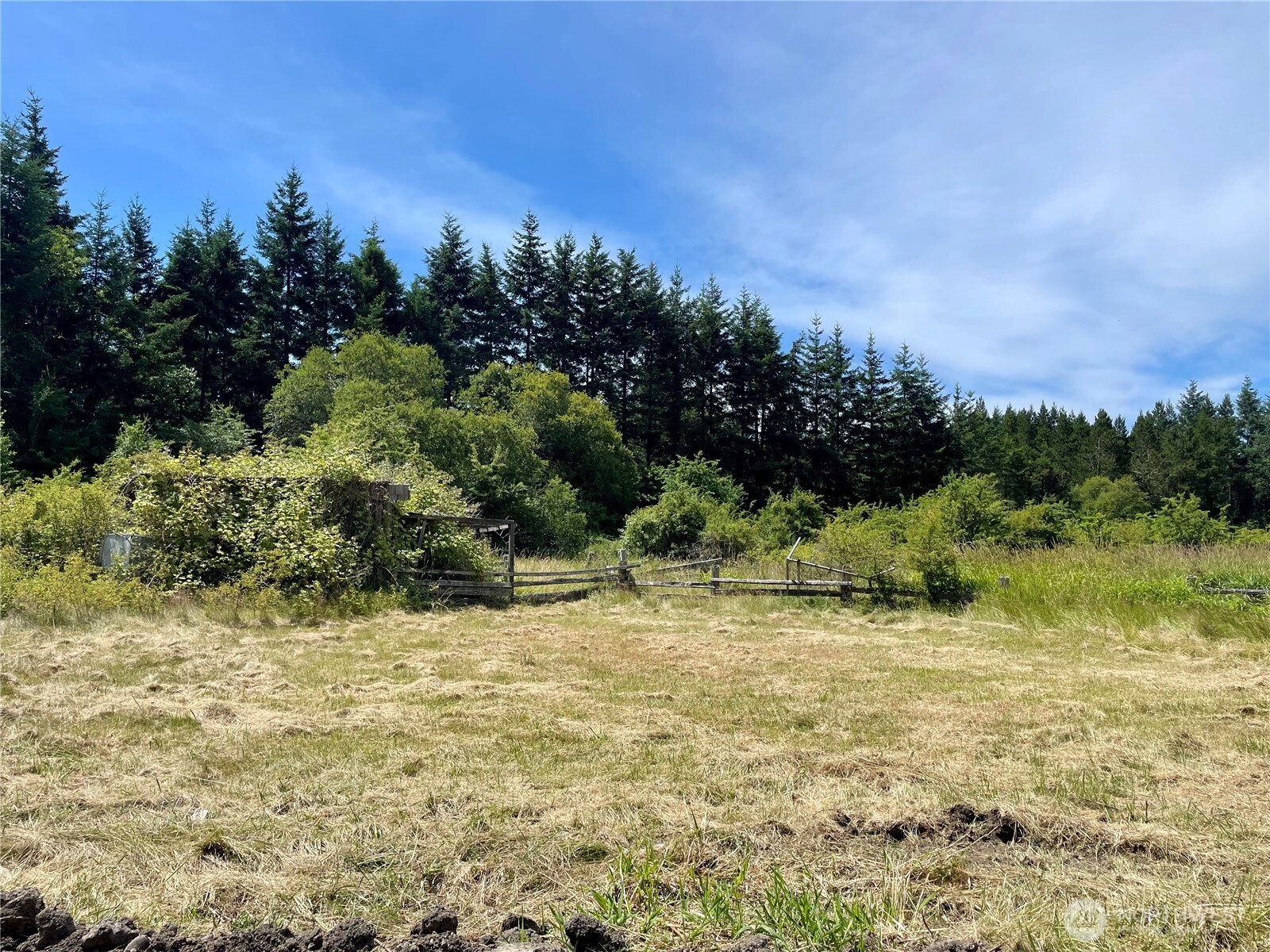 301 Salmonberry Lane Property Photo 38