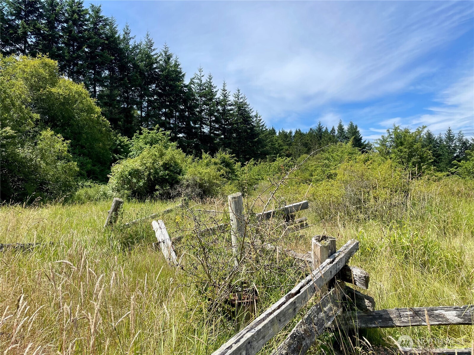 301 Salmonberry Lane Property Photo 39