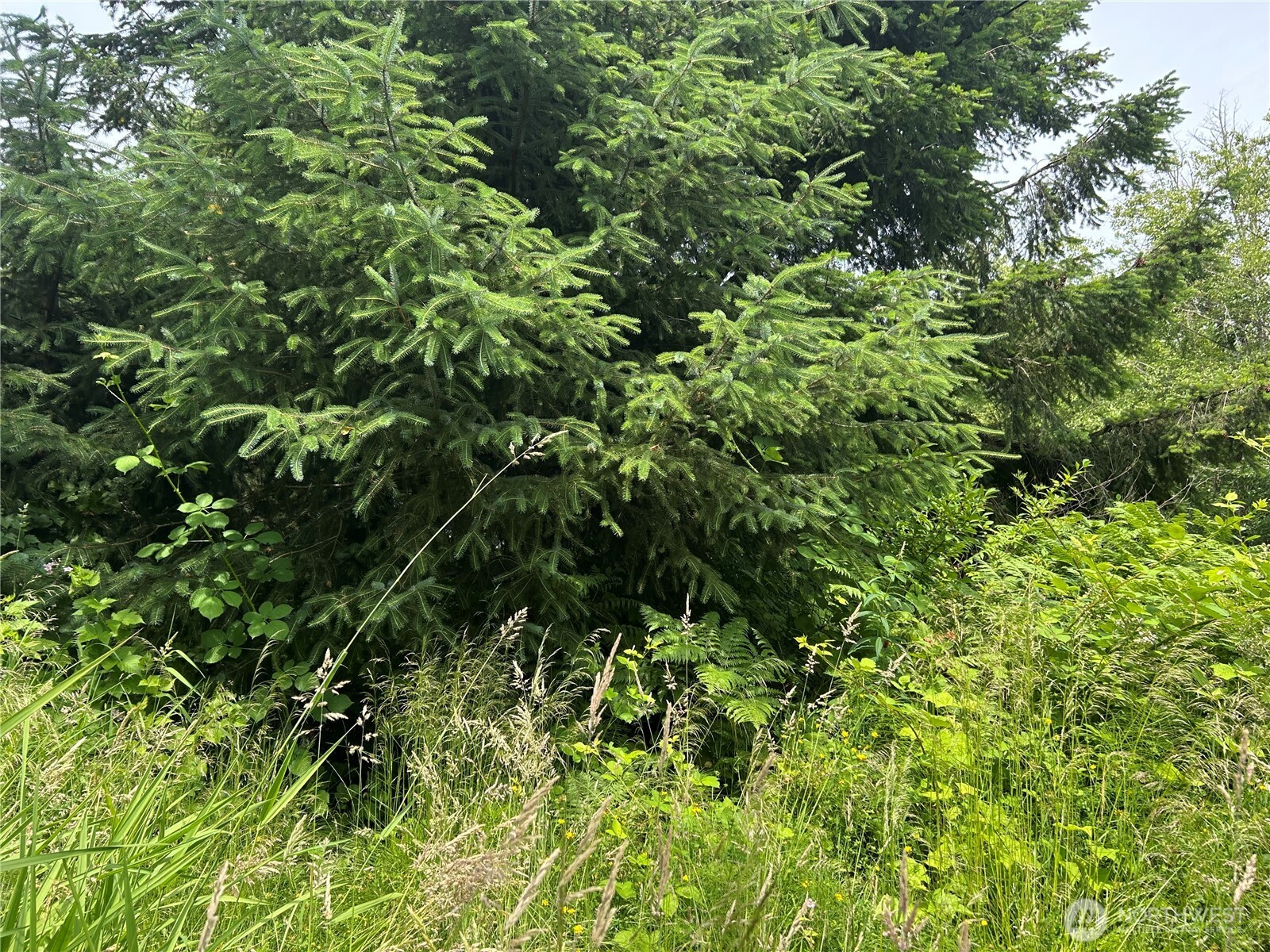 3474 Old Highway 99 Road Property Photo 2