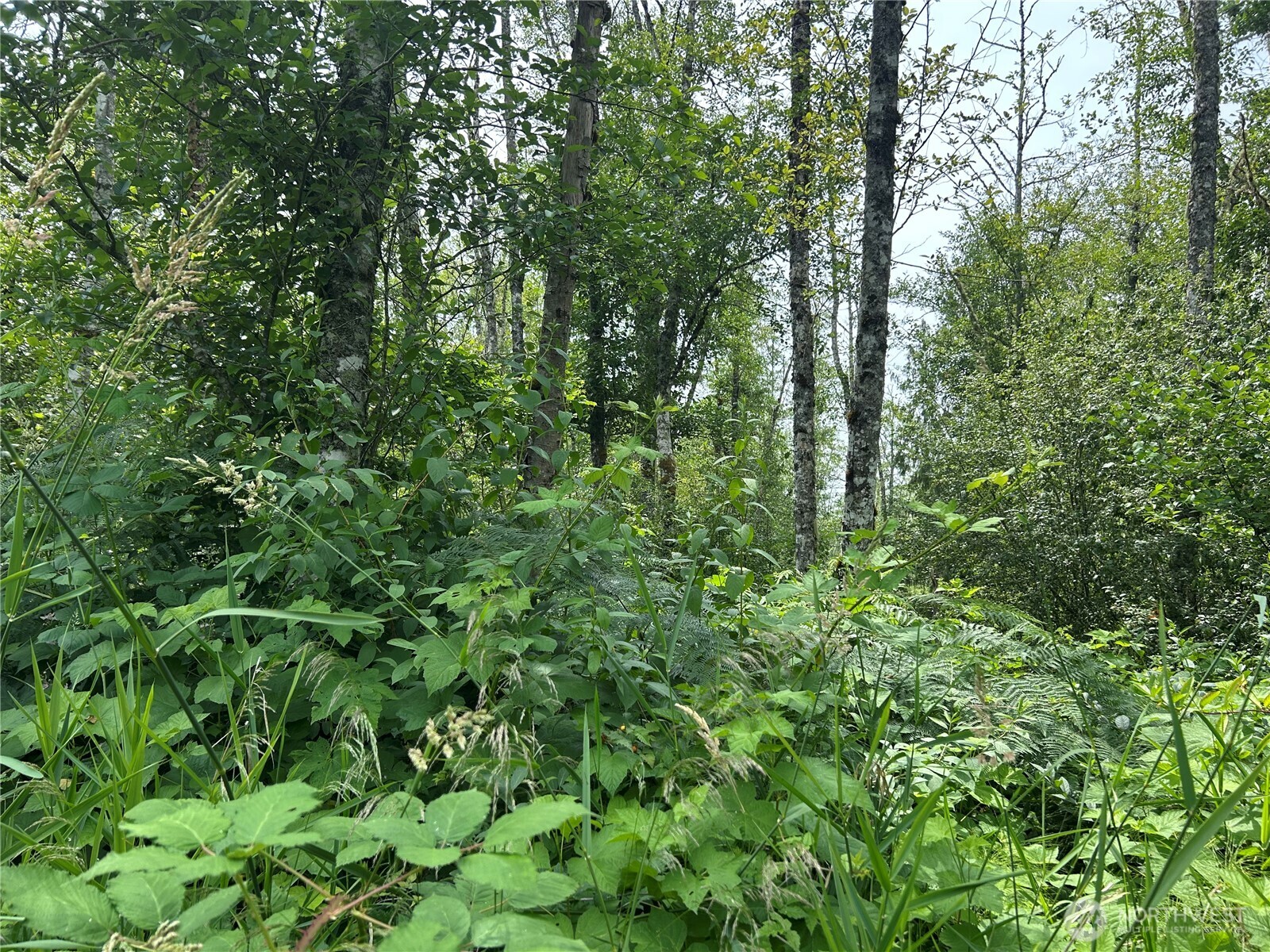 3474 Old Highway 99 Road Property Photo 3