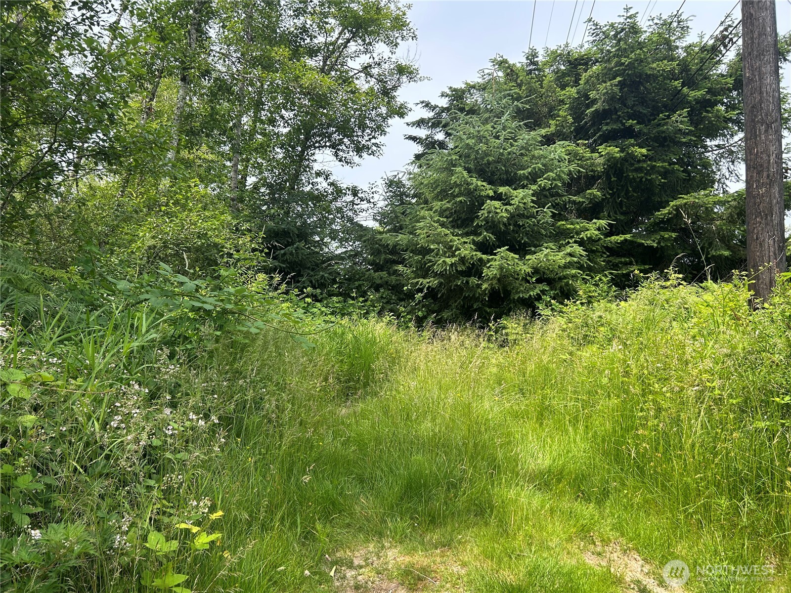 3474 Old Highway 99 Road Property Photo 4
