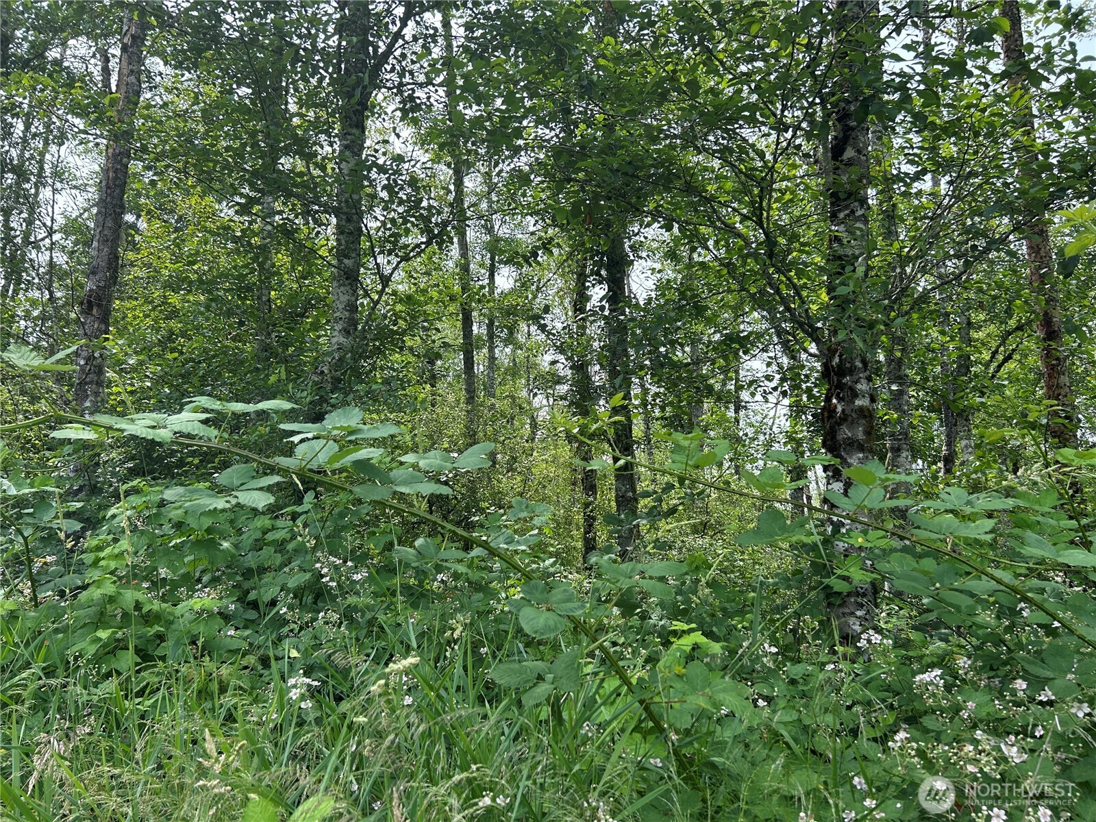 3474 Old Highway 99 Road Property Photo 5