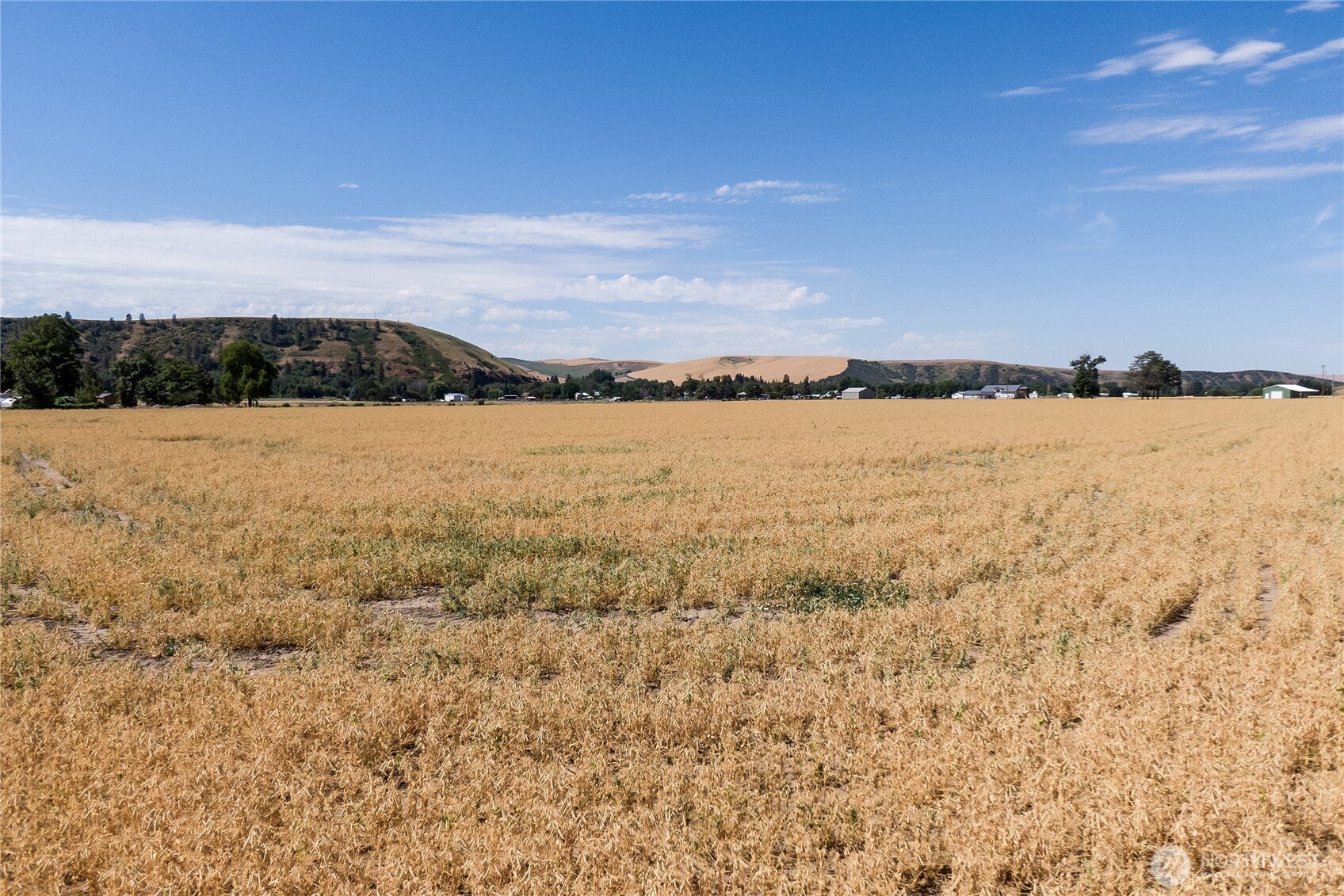 199 Taggart Road Property Photo 3
