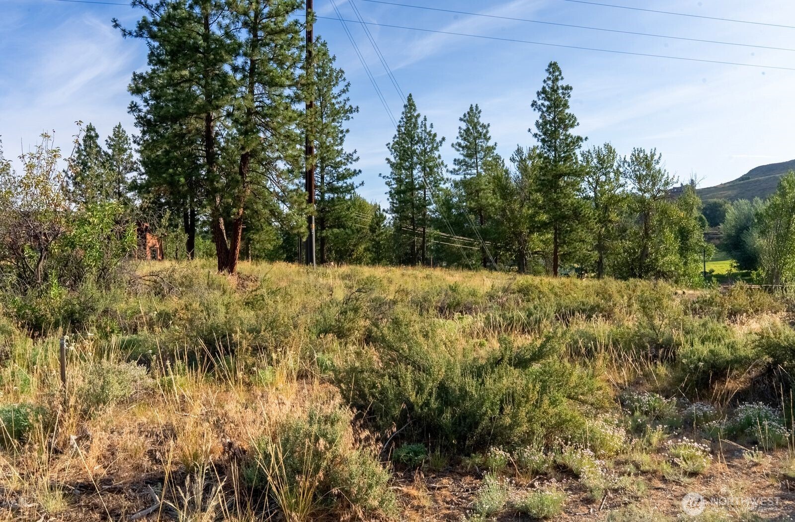 615 Pine Loop Property Photo 14