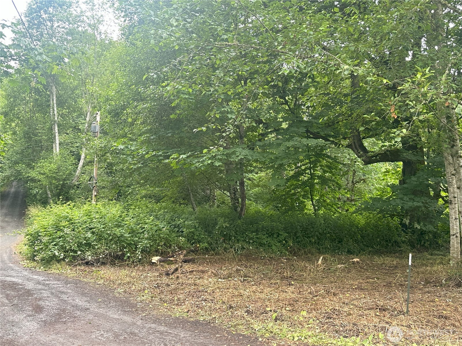 0 Xxxx Skidder Hill Road Property Photo 6