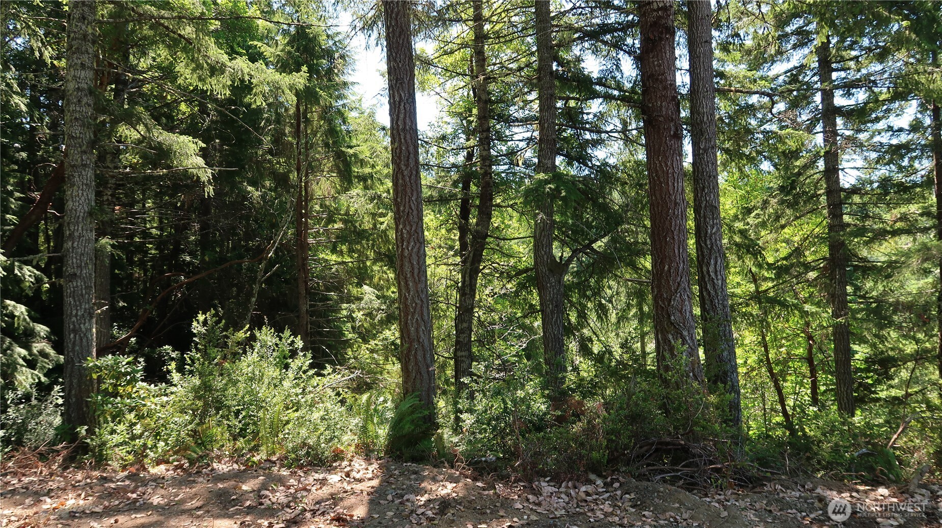 2911 Ne Capstan Rock Rd Property Photo 20