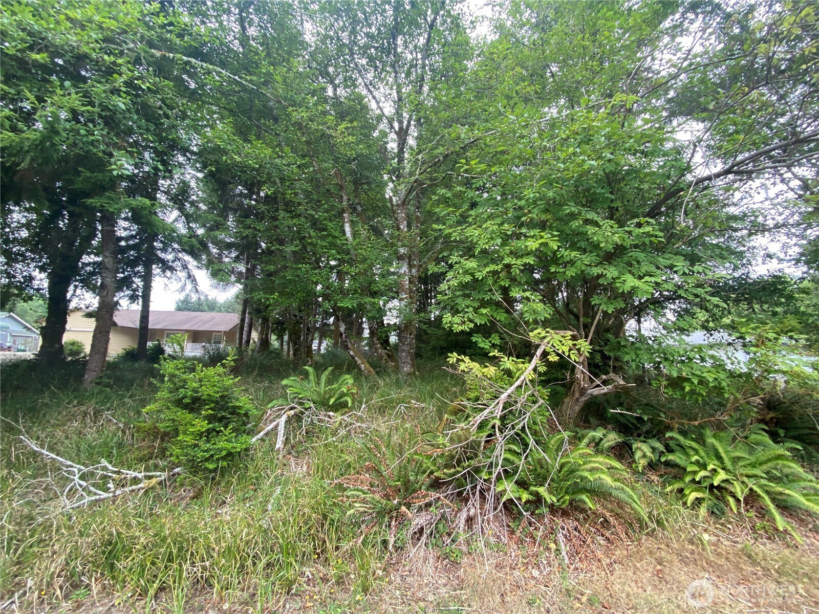 135 Duck Lake Drive Property Photo 5