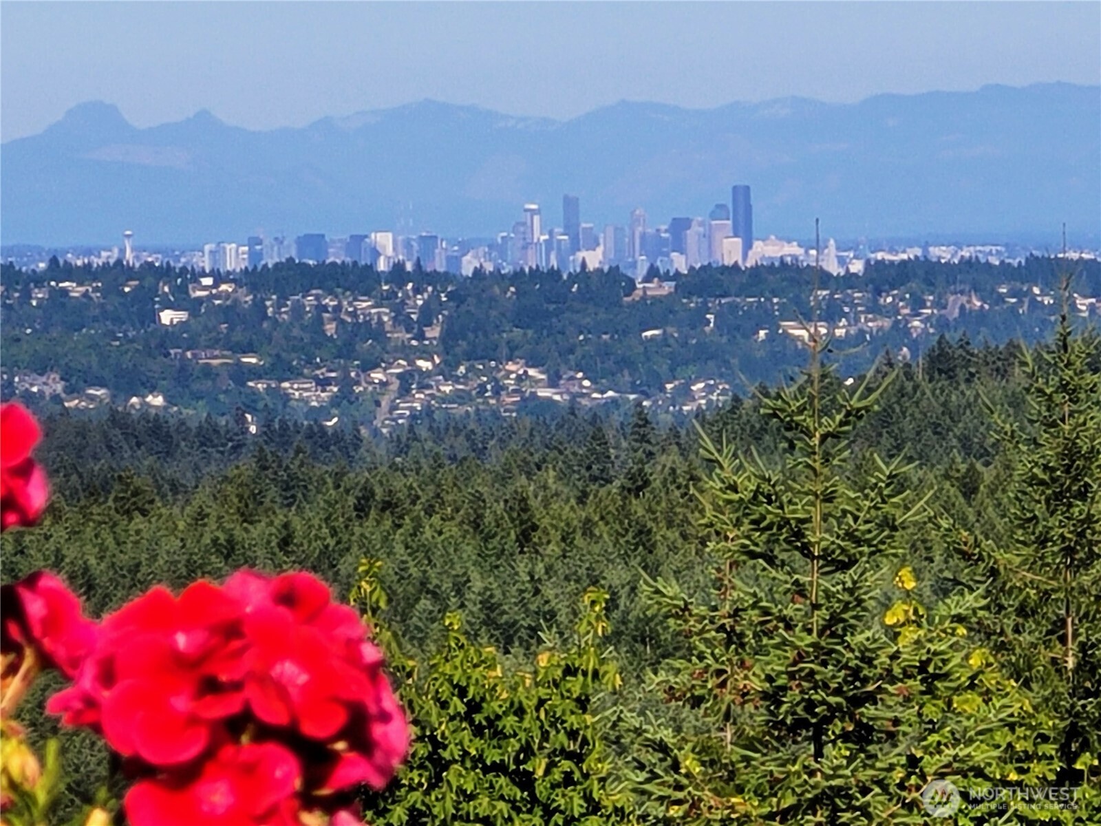 2155 Lost Creek Lane Property Photo 1