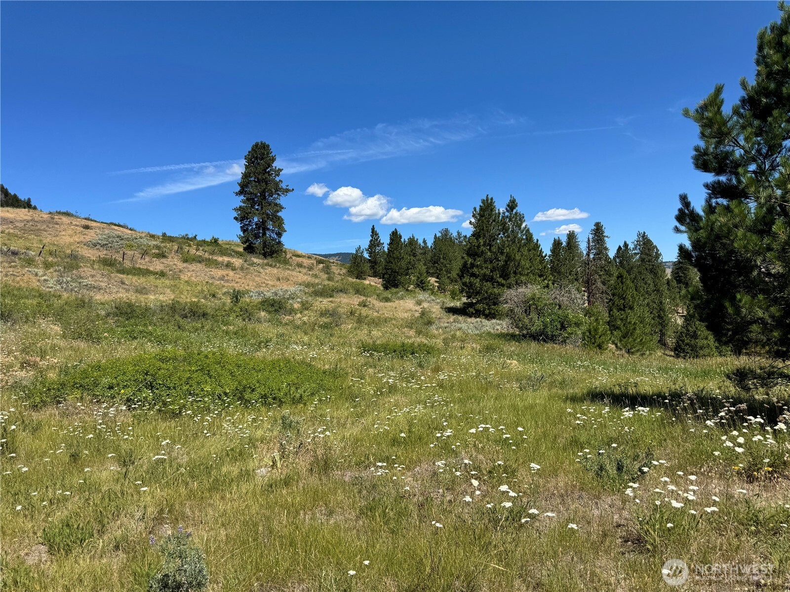 1 A Lundimo Meadows Road Property Photo 1