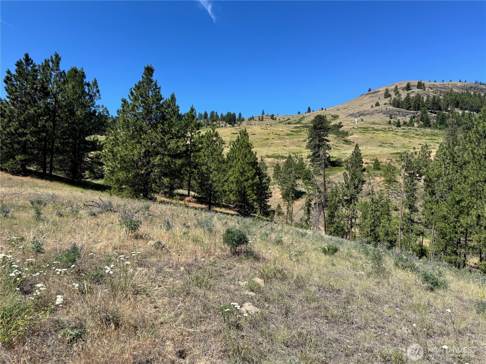 1 A Lundimo Meadows Road Property Photo 2