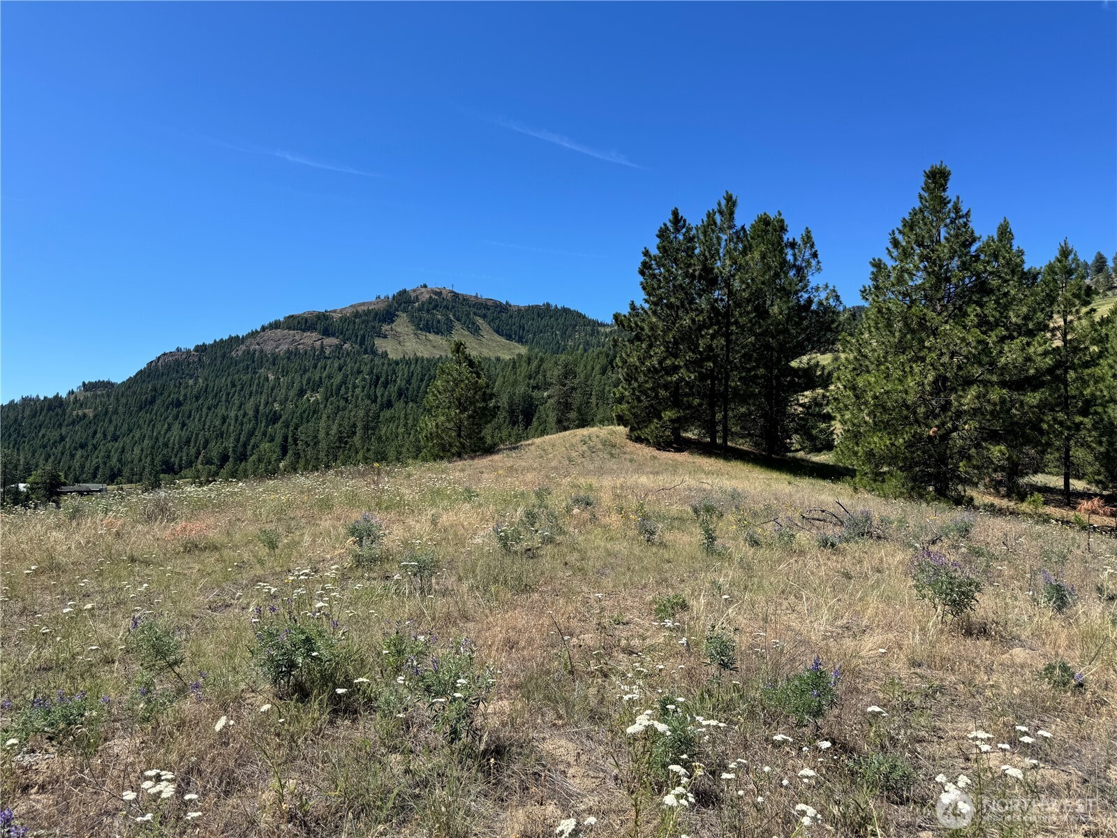 1 A Lundimo Meadows Road Property Photo 3