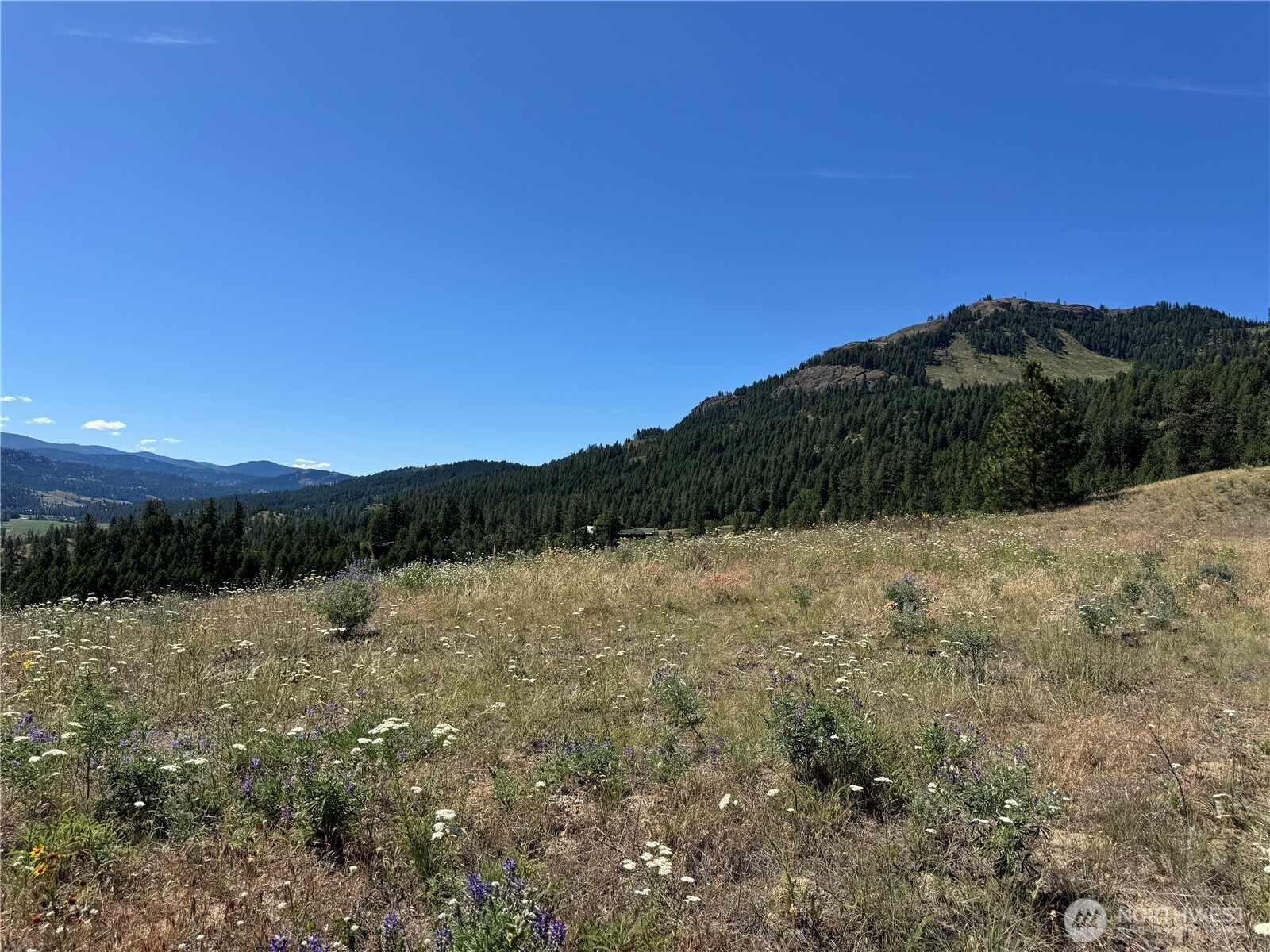 1 A Lundimo Meadows Road Property Photo 4