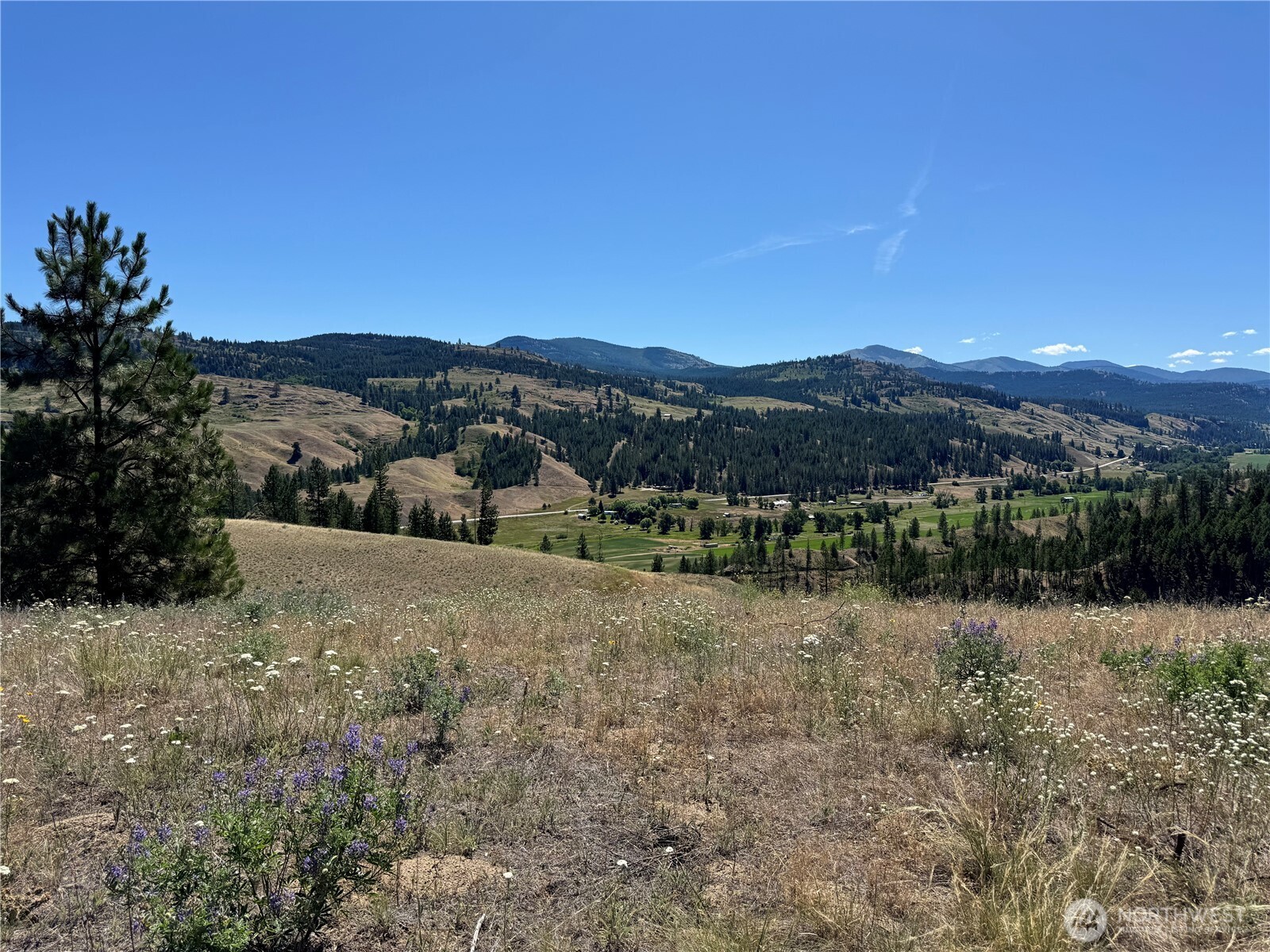 1 A Lundimo Meadows Road Property Photo 7