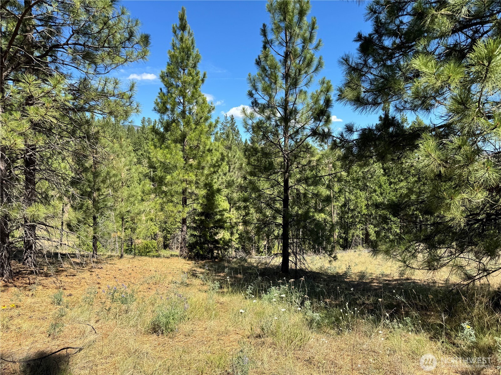 1 A Lundimo Meadows Road Property Photo 8