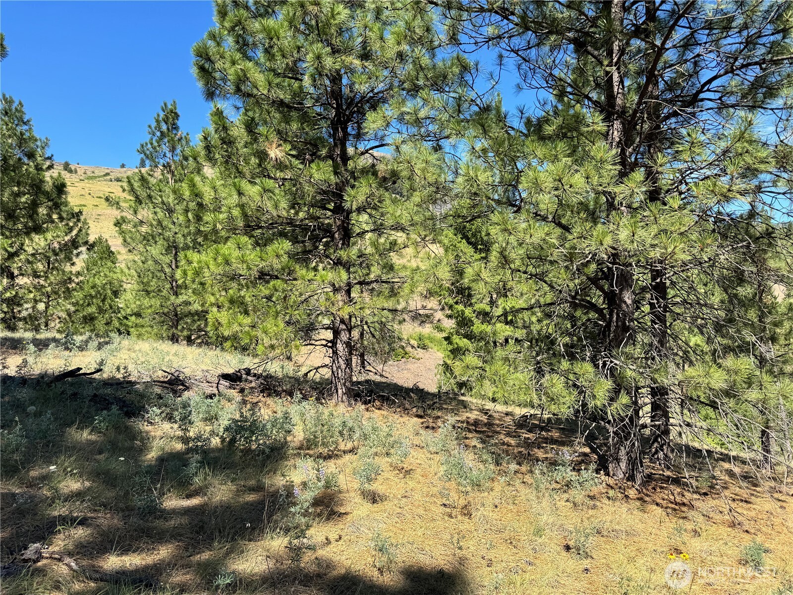 1 A Lundimo Meadows Road Property Photo 9