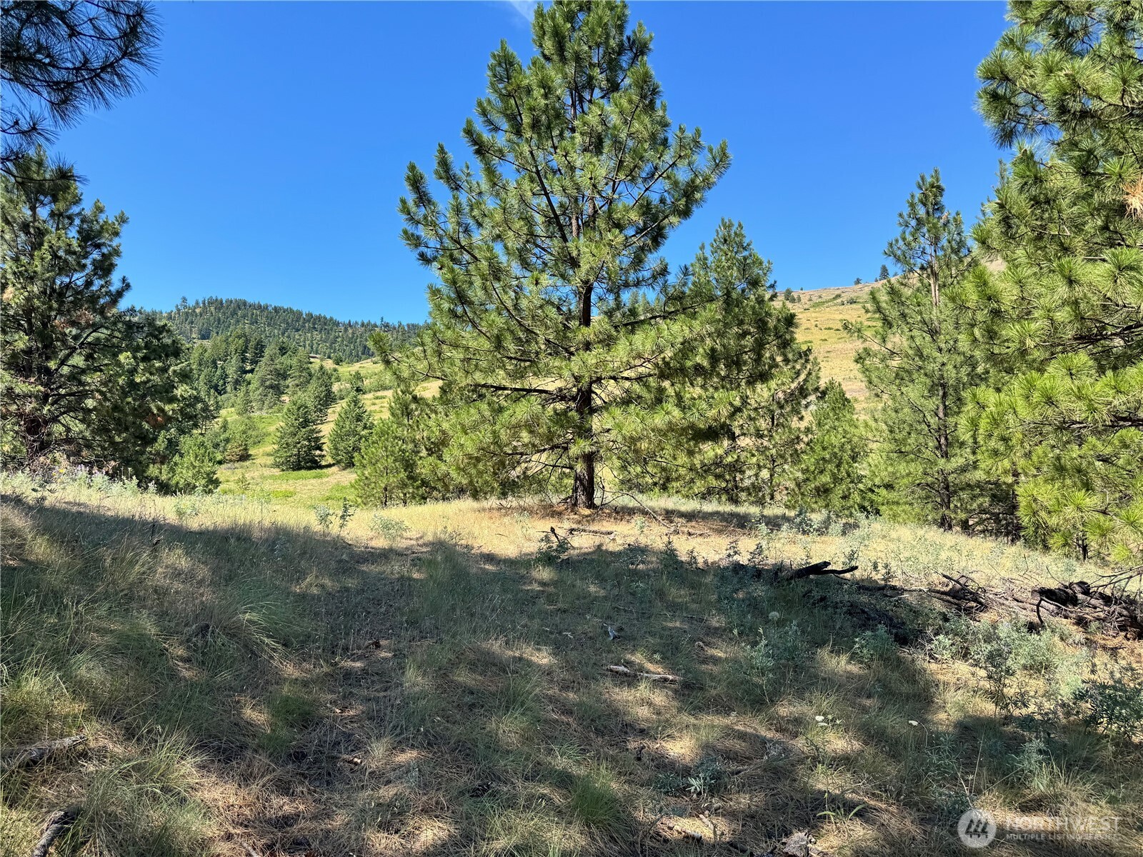 1 A Lundimo Meadows Road Property Photo 10