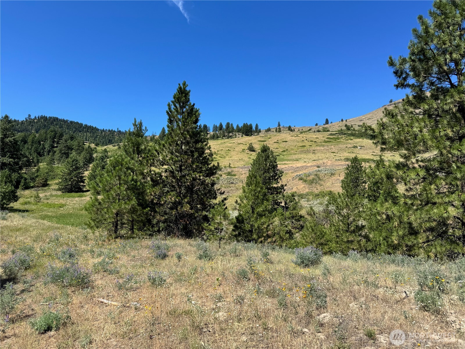 1 A Lundimo Meadows Road Property Photo 11