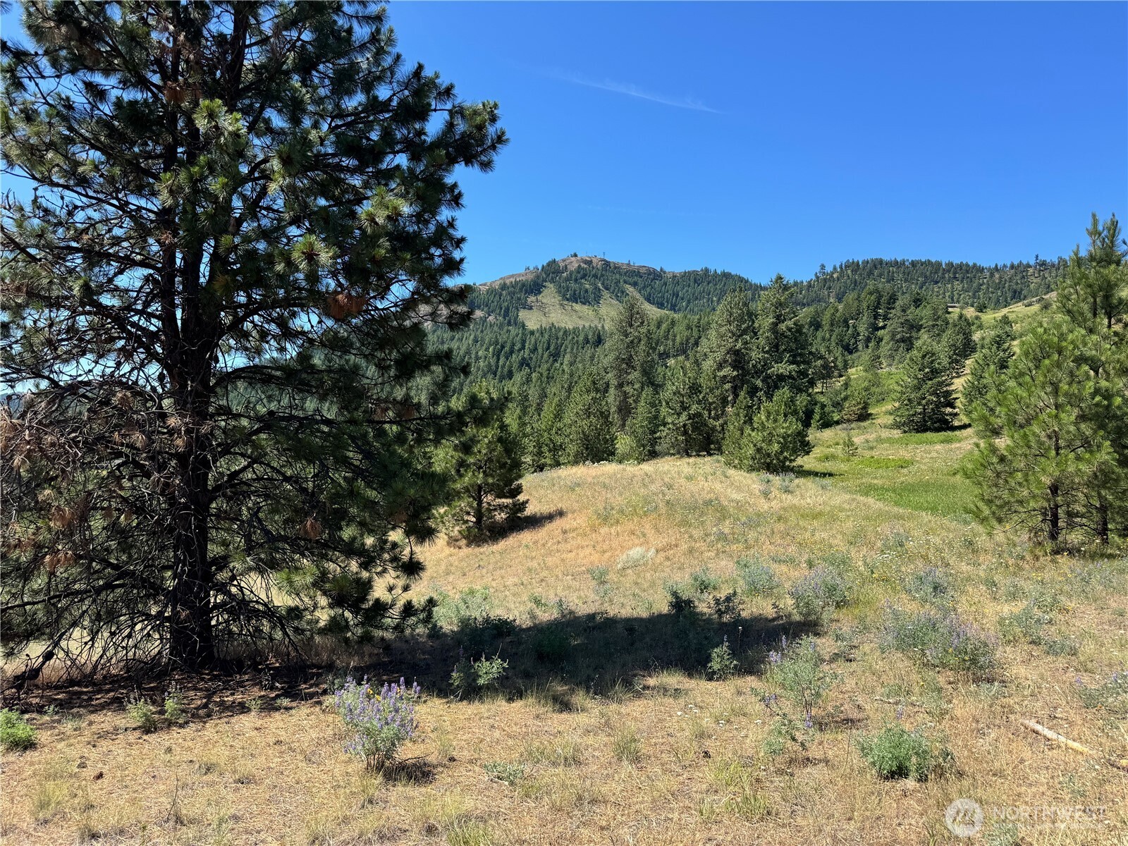 1 A Lundimo Meadows Road Property Photo 12
