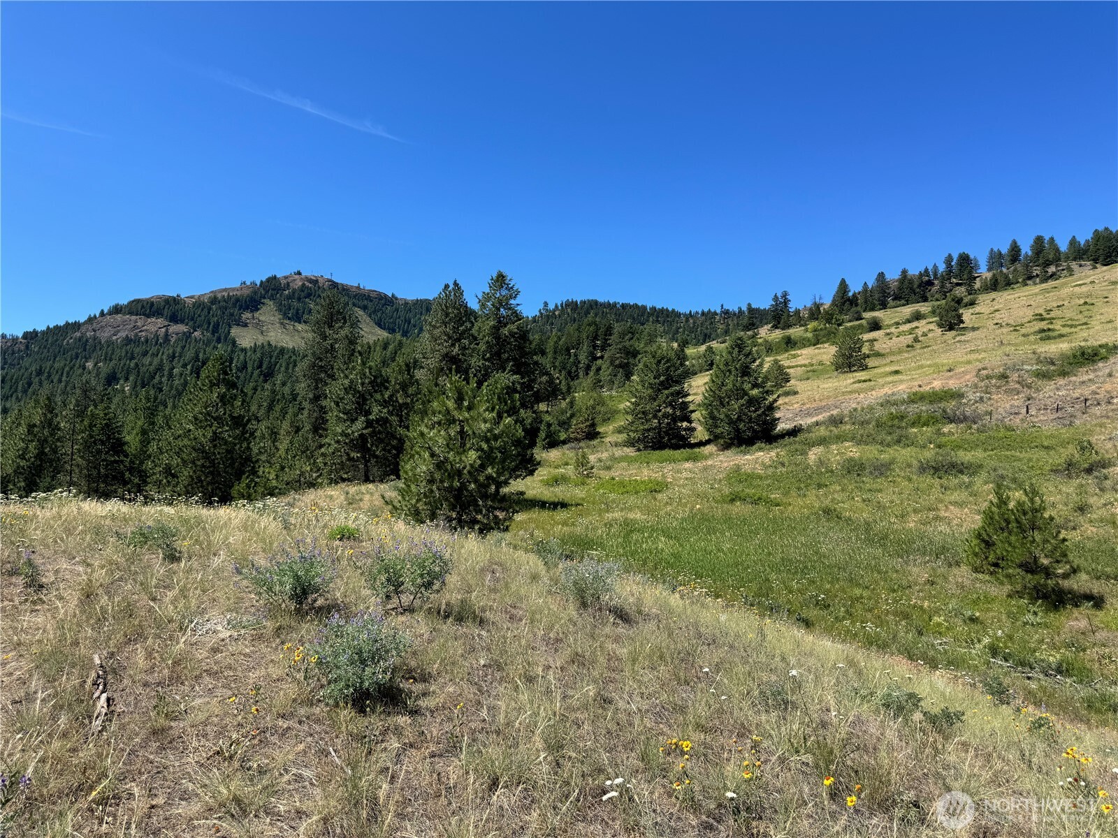 1 A Lundimo Meadows Road Property Photo 13