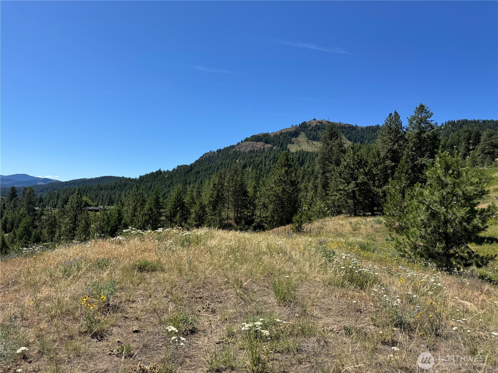 1 A Lundimo Meadows Road Property Photo 14
