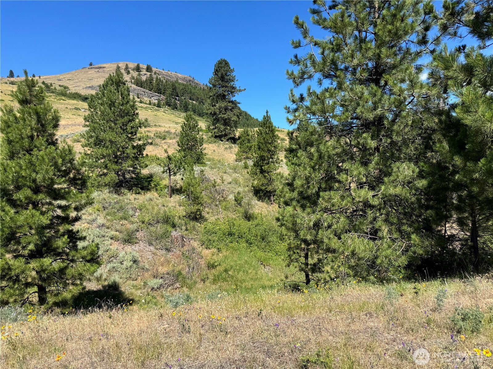 1 A Lundimo Meadows Road Property Photo 15