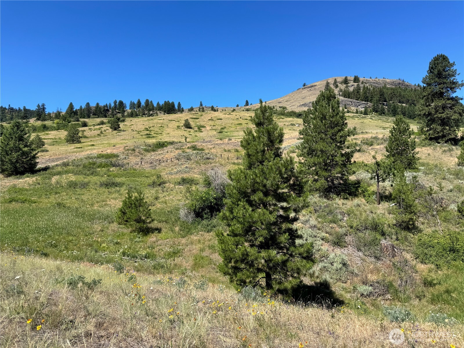 1 A Lundimo Meadows Road Property Photo 16