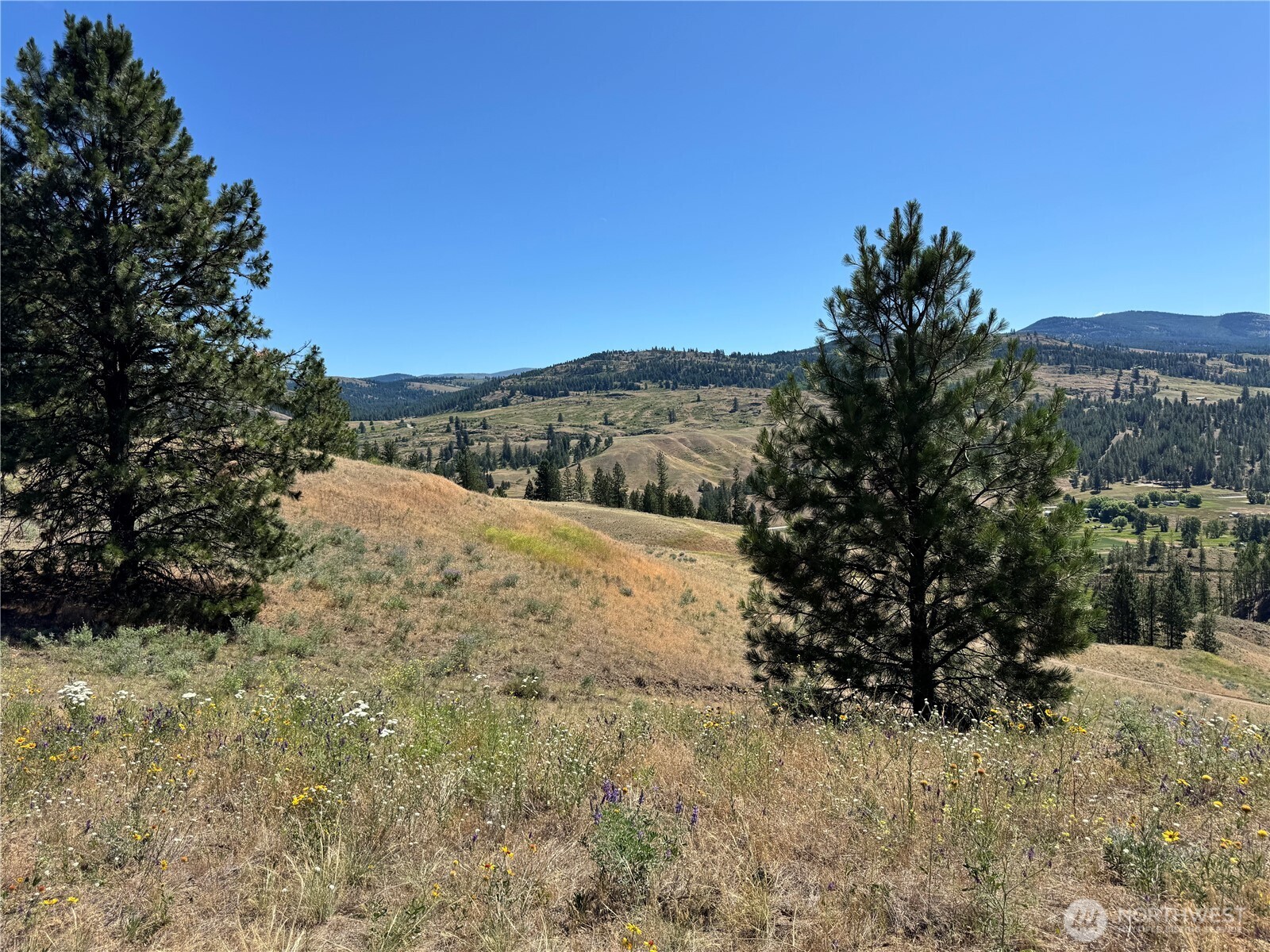 1 A Lundimo Meadows Road Property Photo 17