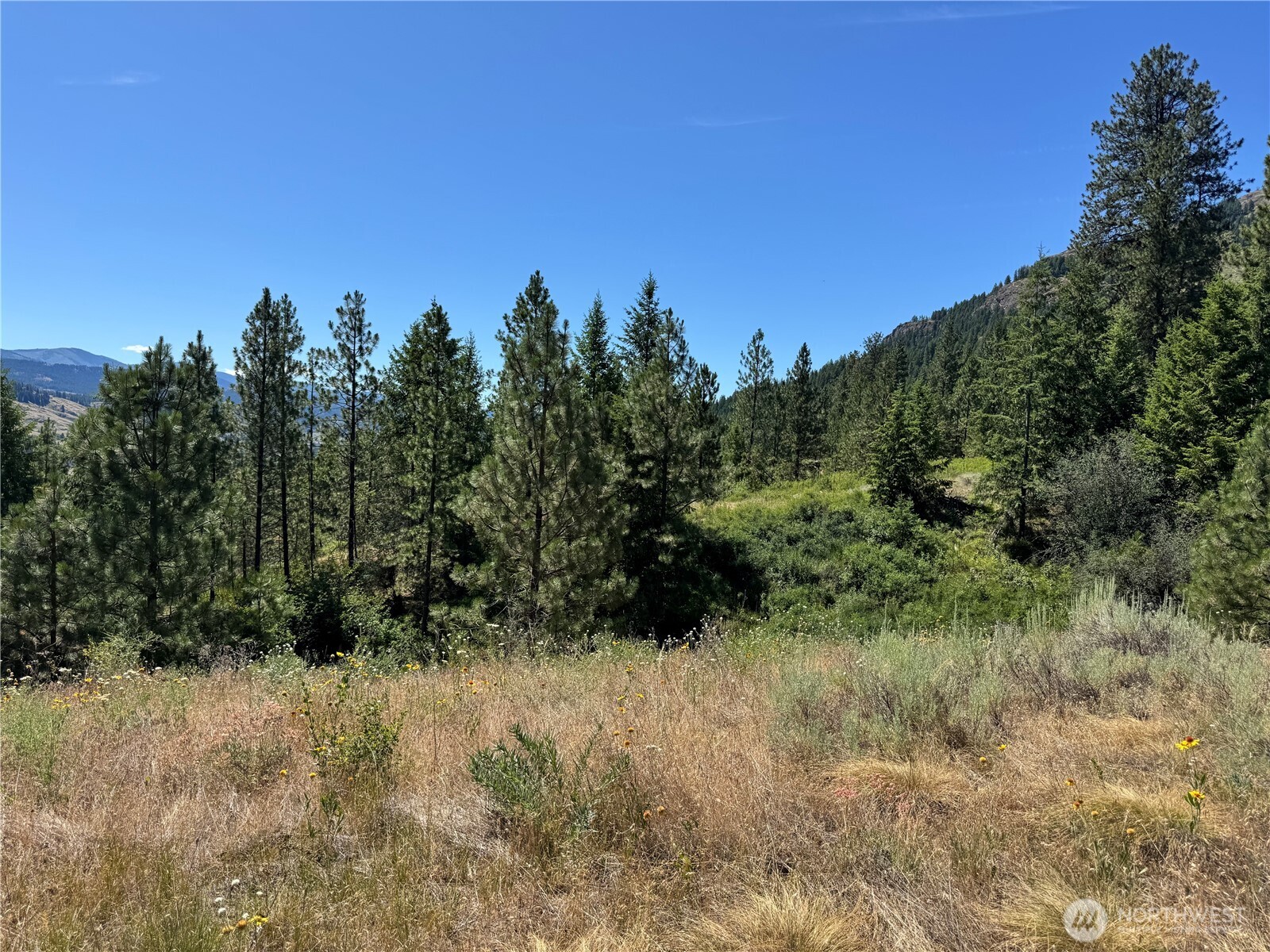 1 A Lundimo Meadows Road Property Photo 18