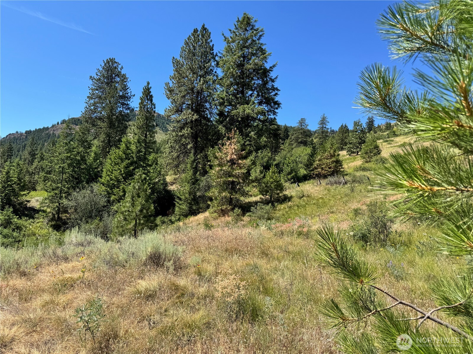 1 A Lundimo Meadows Road Property Photo 19