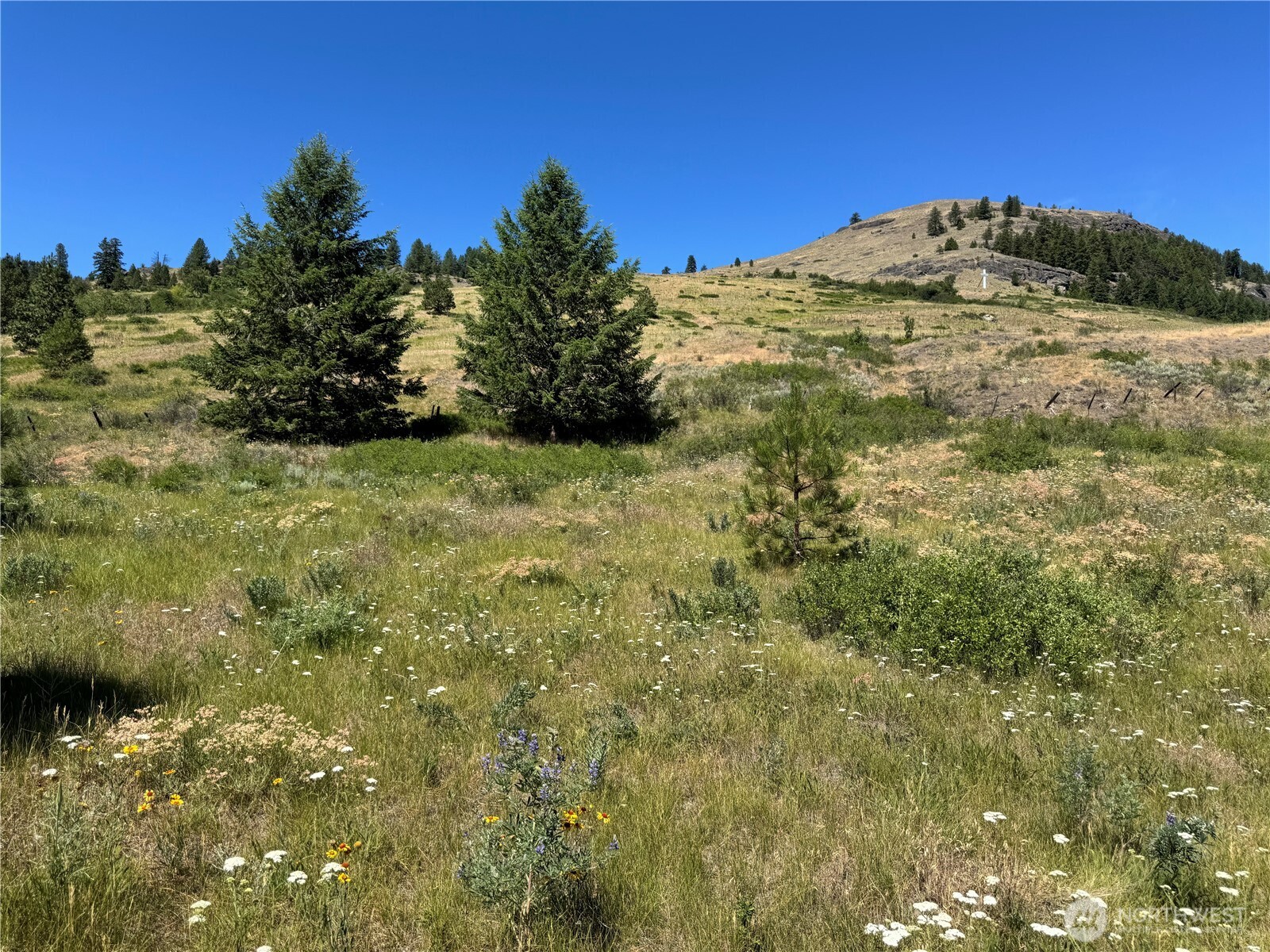 1 A Lundimo Meadows Road Property Photo 20