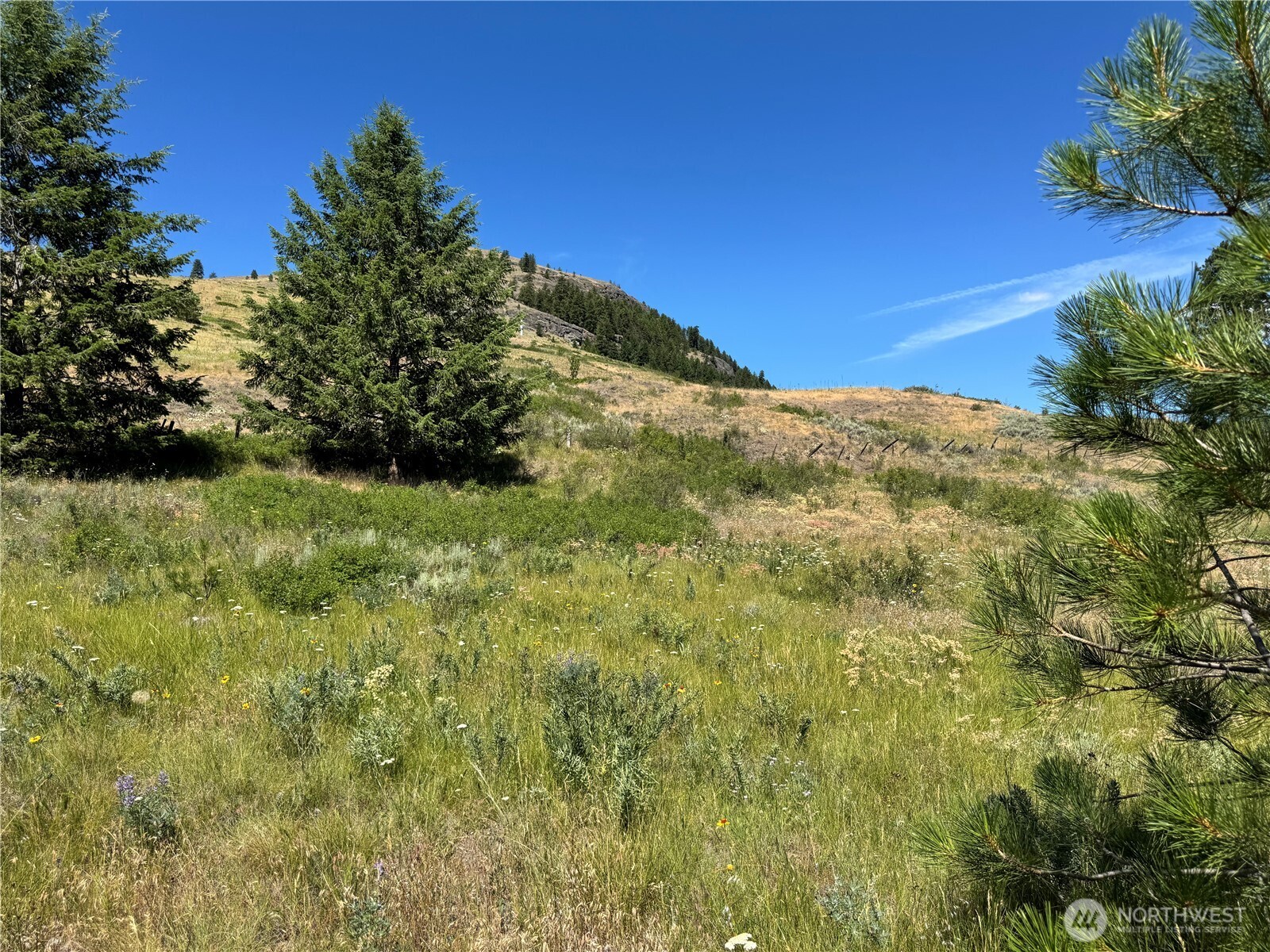1 A Lundimo Meadows Road Property Photo 21