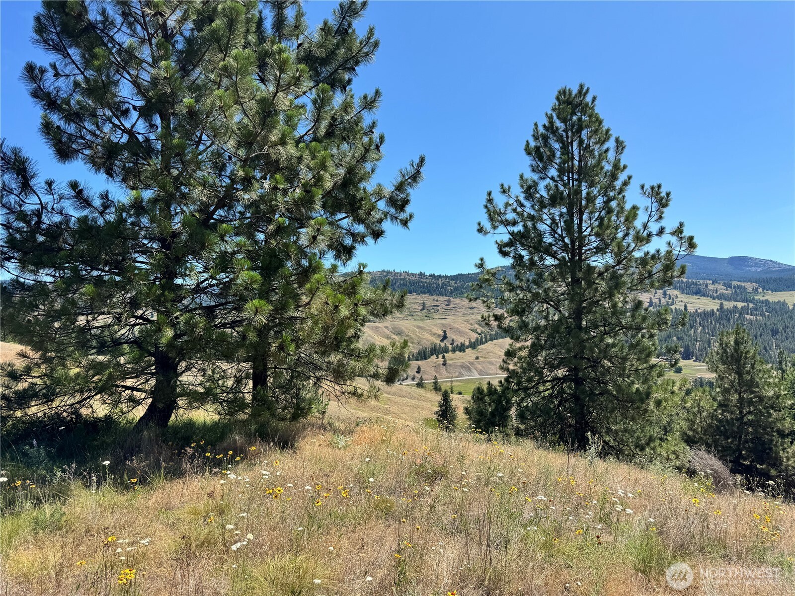1 A Lundimo Meadows Road Property Photo 22