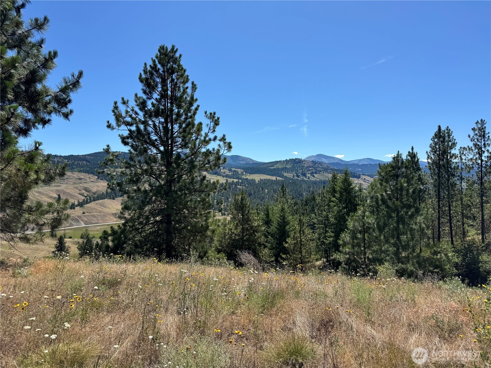1 A Lundimo Meadows Road Property Photo 23