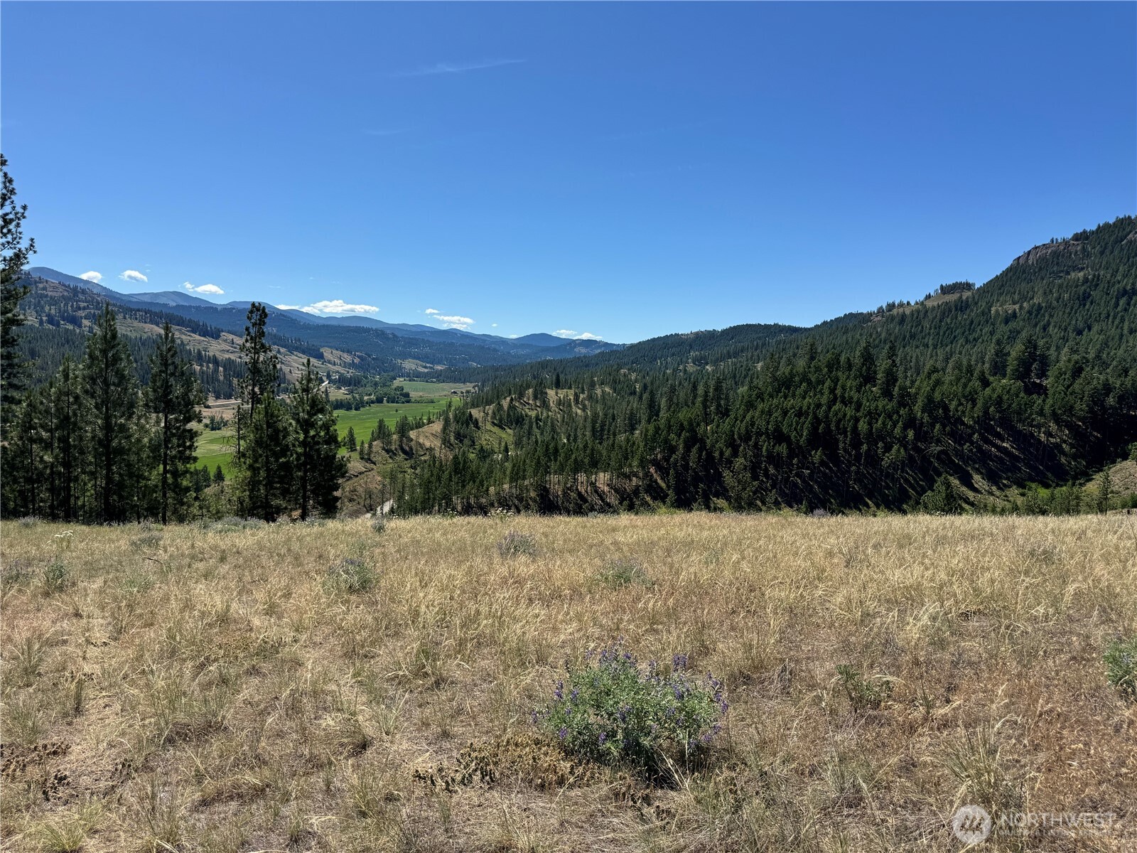 2 B Lundimo Meadows Road Property Photo 3