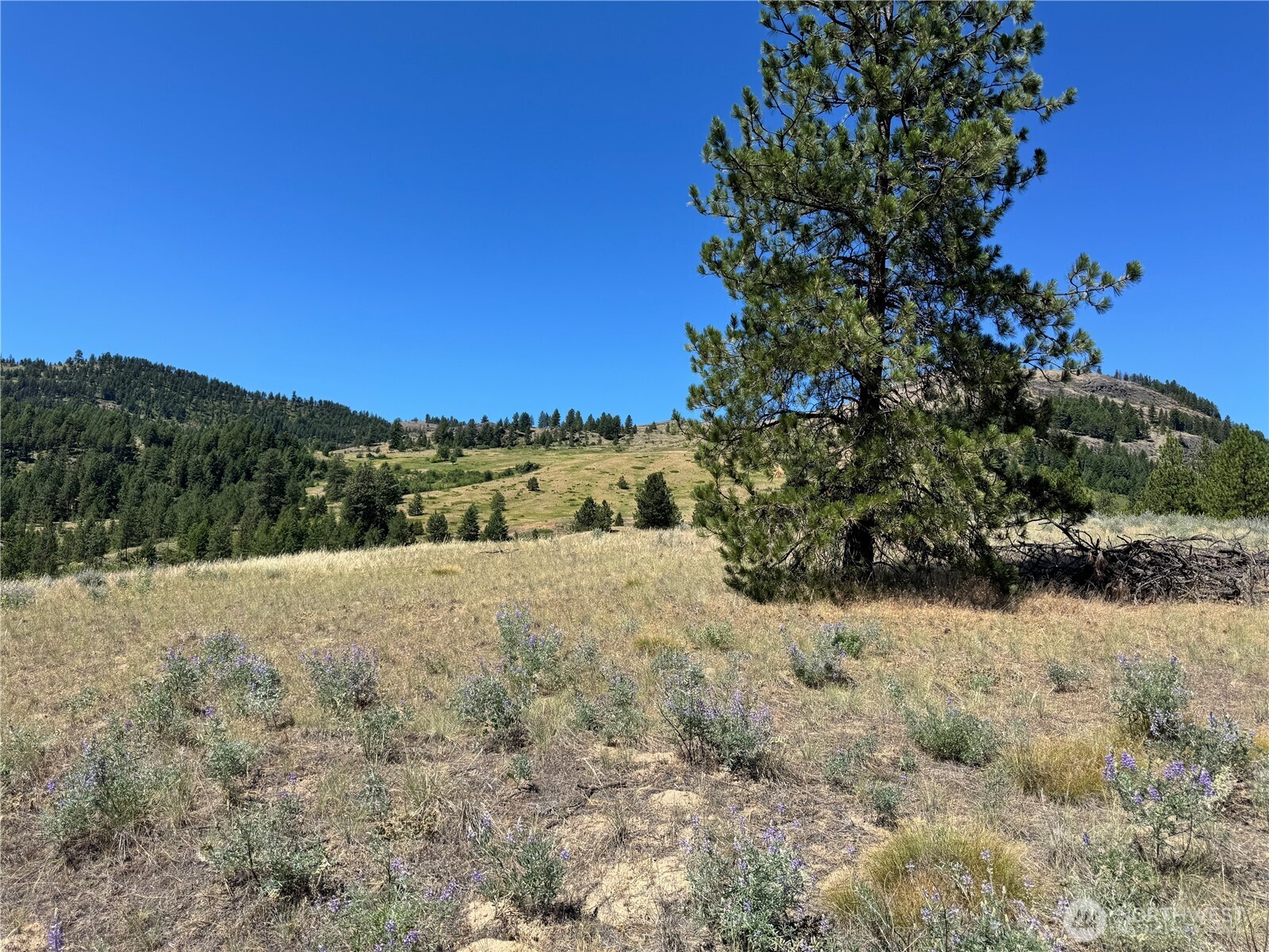2 B Lundimo Meadows Road Property Photo 5