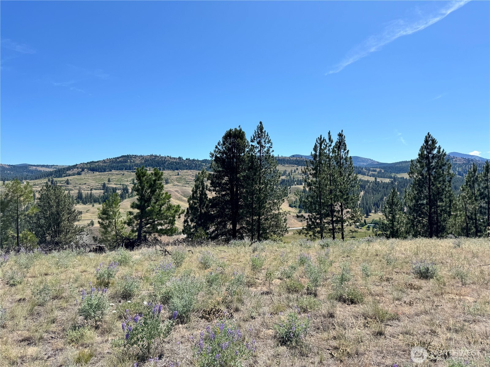 2 B Lundimo Meadows Road Property Photo 6