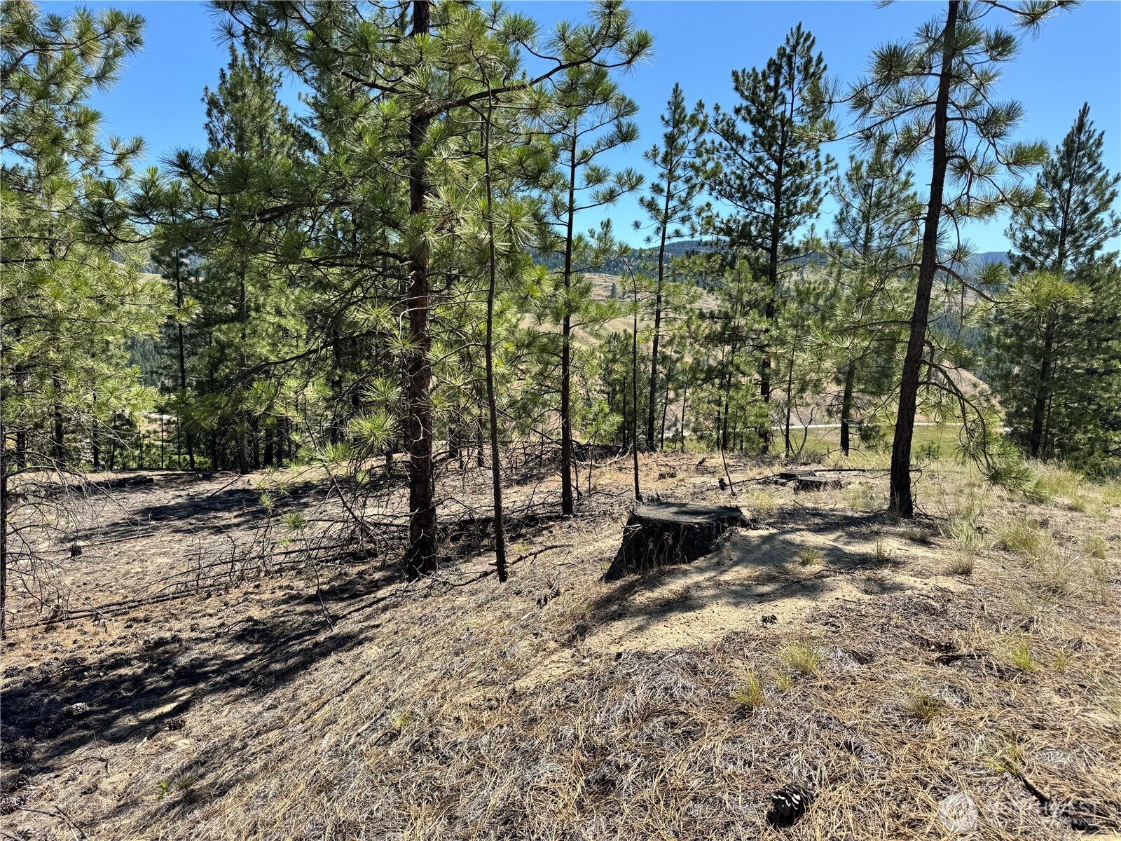 2 B Lundimo Meadows Road Property Photo 10