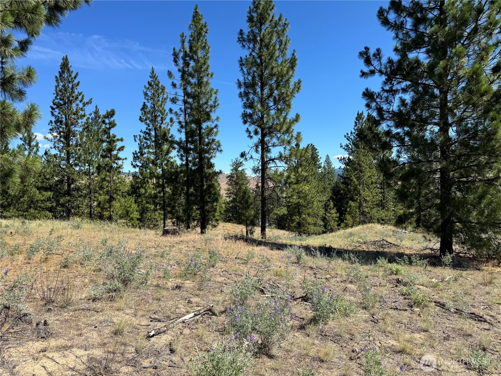 2 B Lundimo Meadows Road Property Photo 13