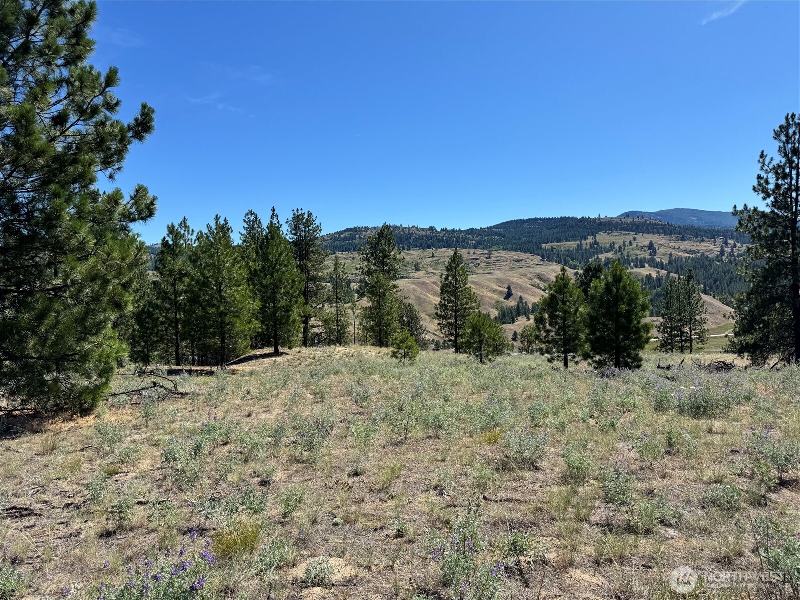 2 B Lundimo Meadows Road Property Photo 14