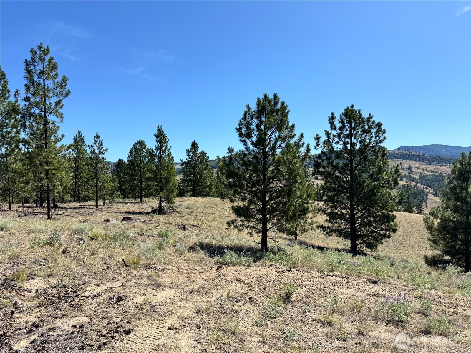 2 B Lundimo Meadows Road Property Photo 19