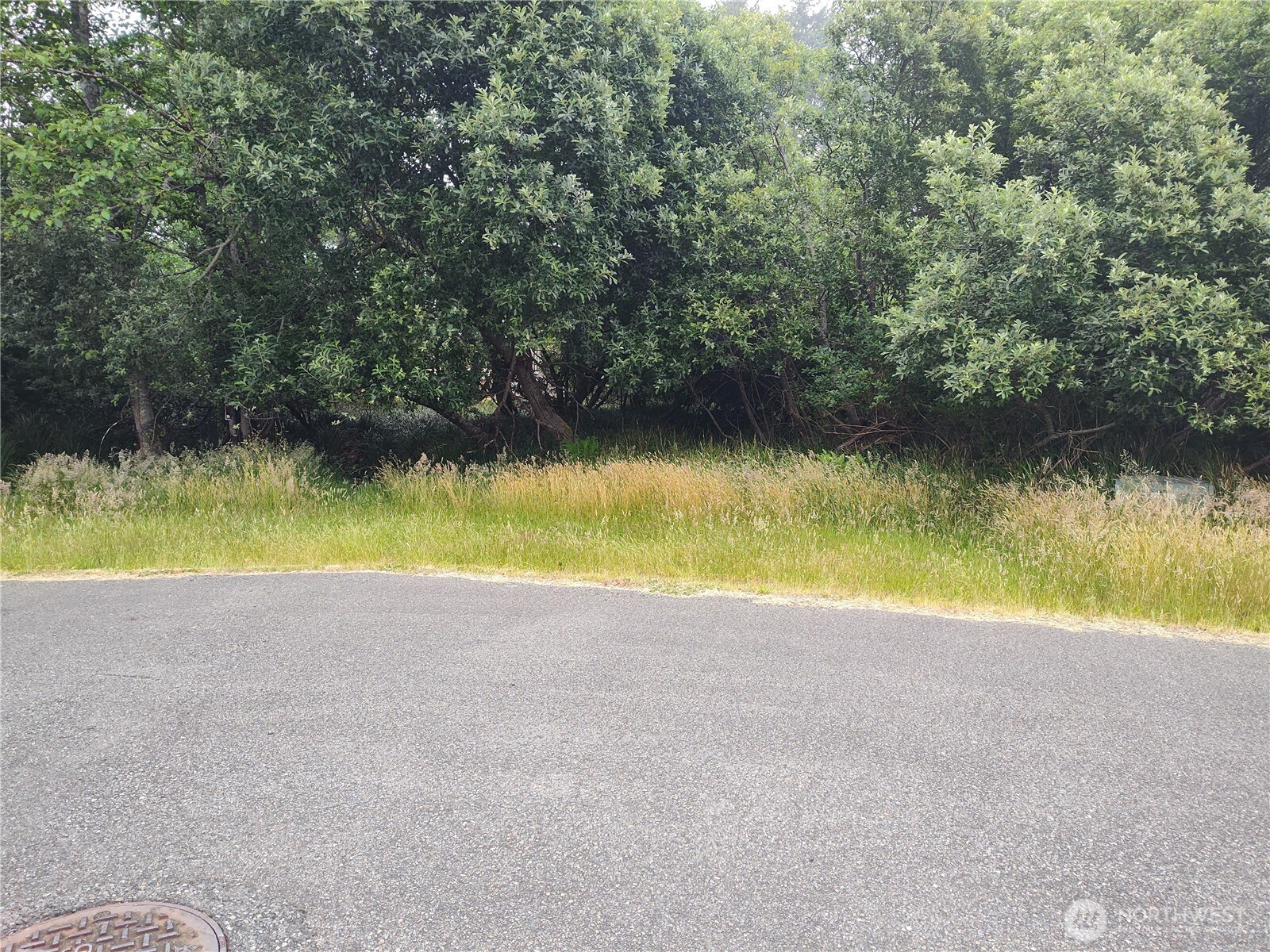 660 Alder Court Property Photo 3