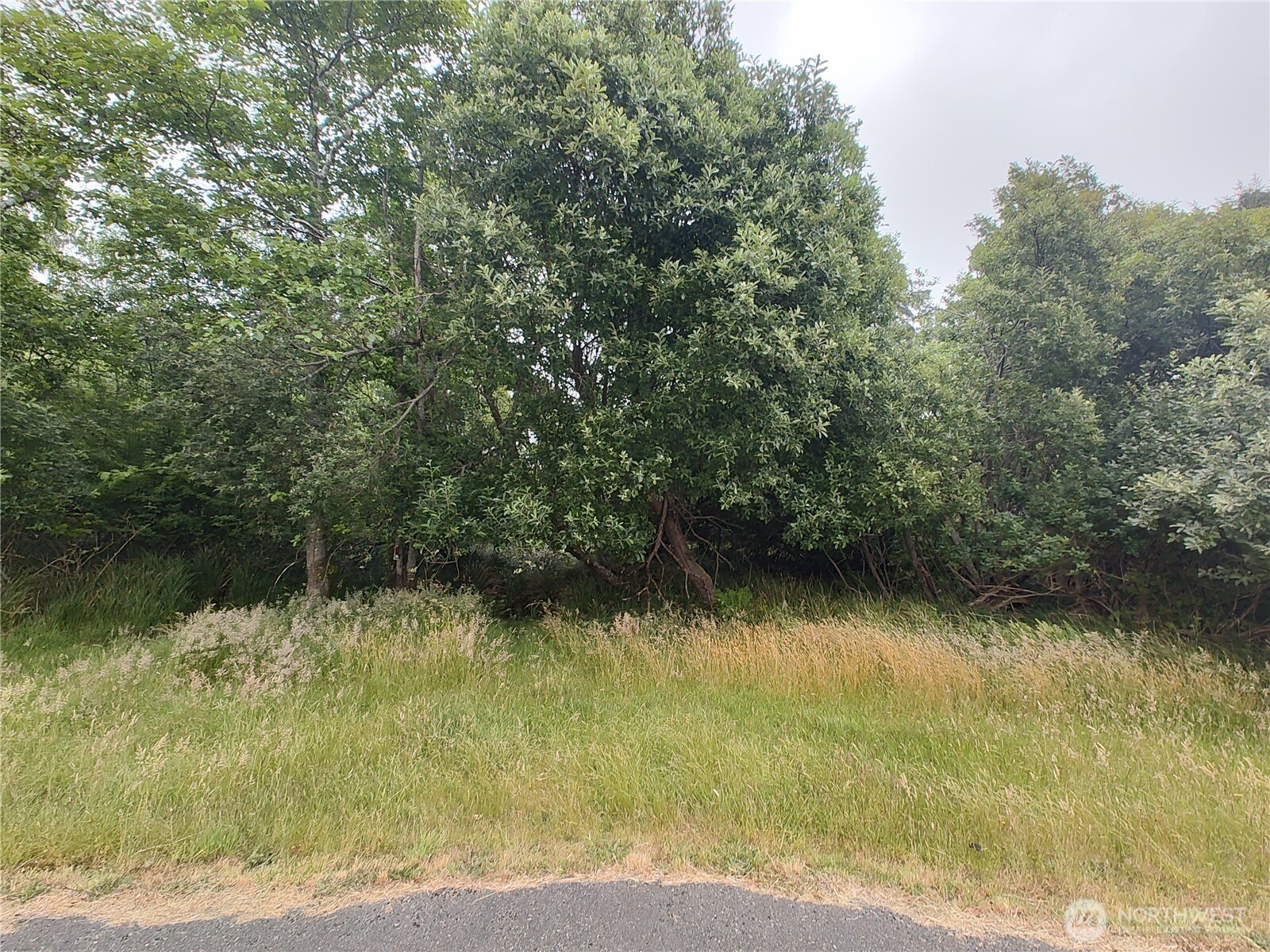 660 Alder Court Property Photo 4