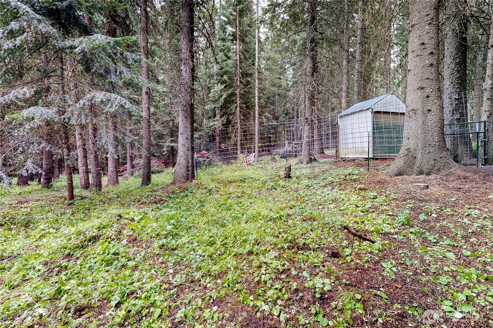 58504 Wildwood Loop Property Photo 37