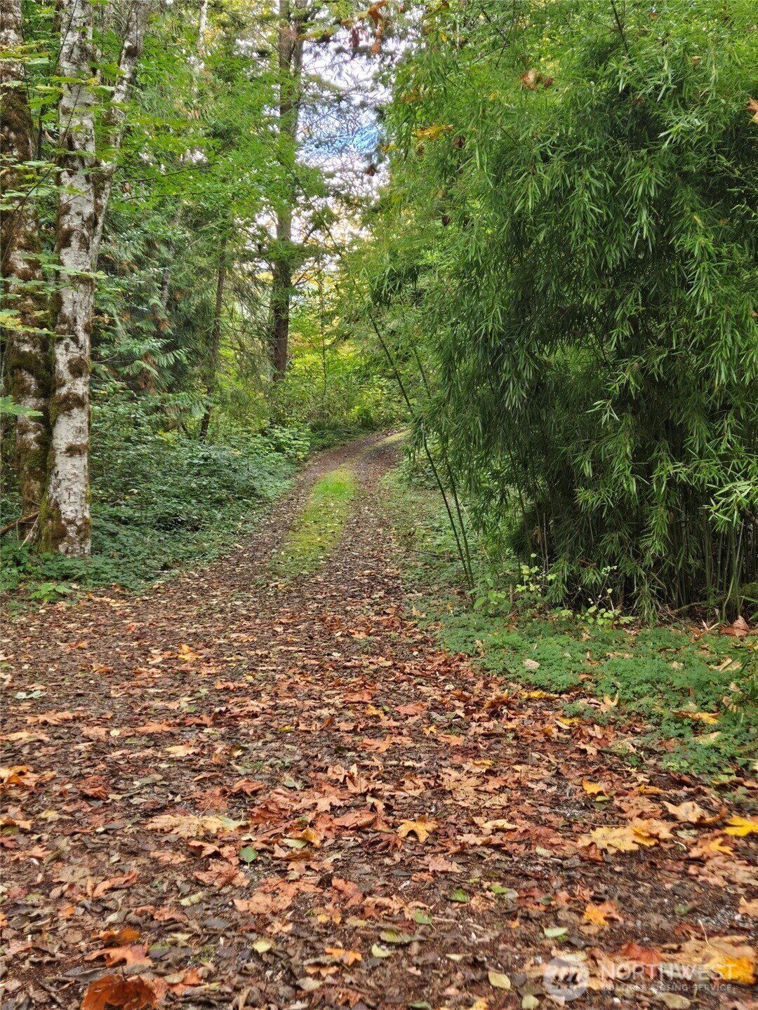 7595 Pressentin Court Property Photo 40