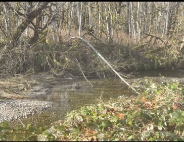 0 Sauk Road Property Photo 1