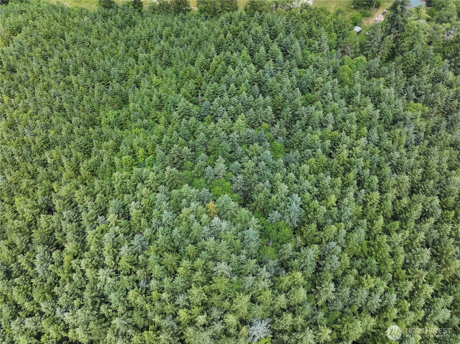0 Hope Creek Road Property Photo 5
