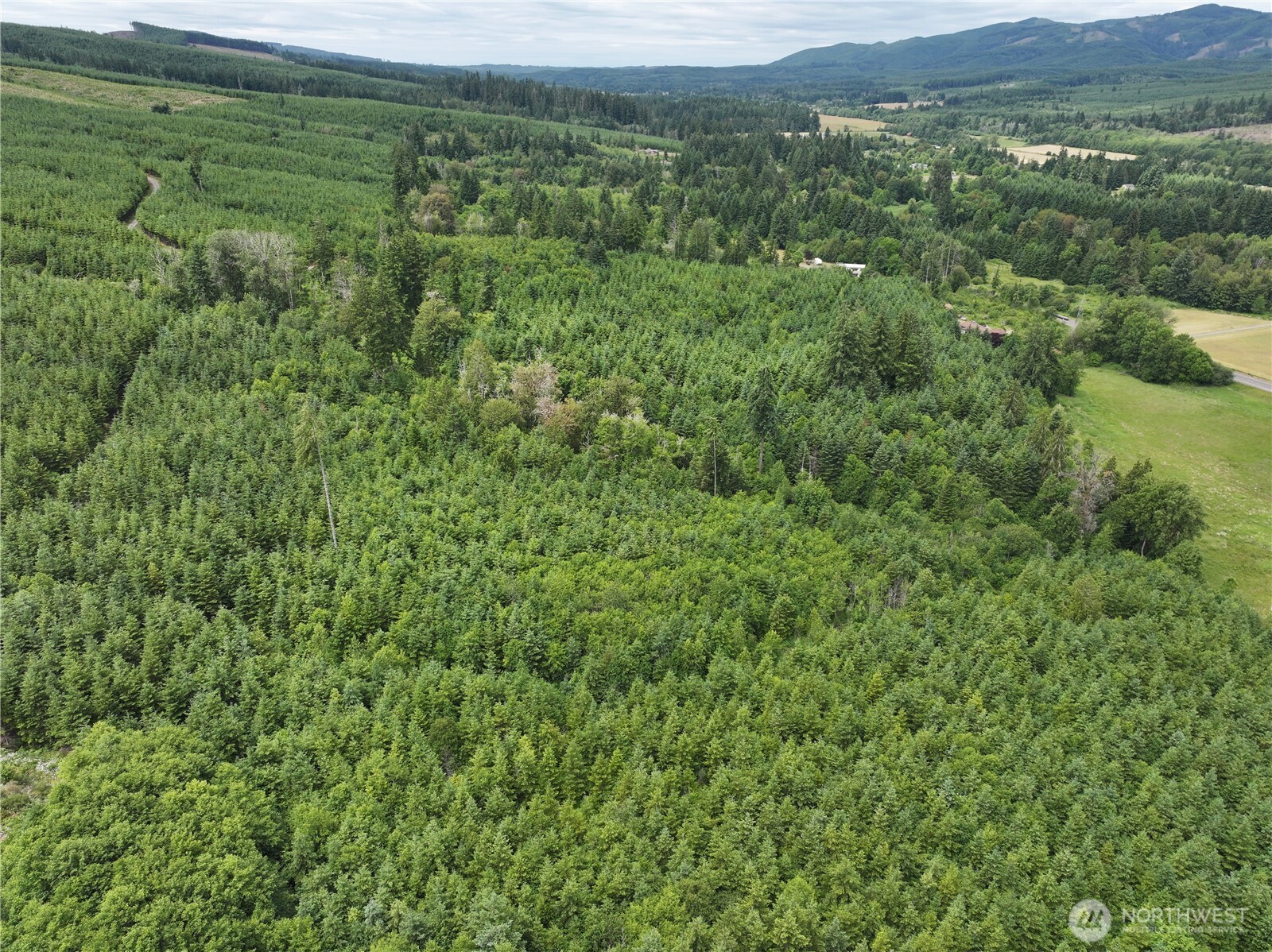 0 Hope Creek Road Property Photo 9