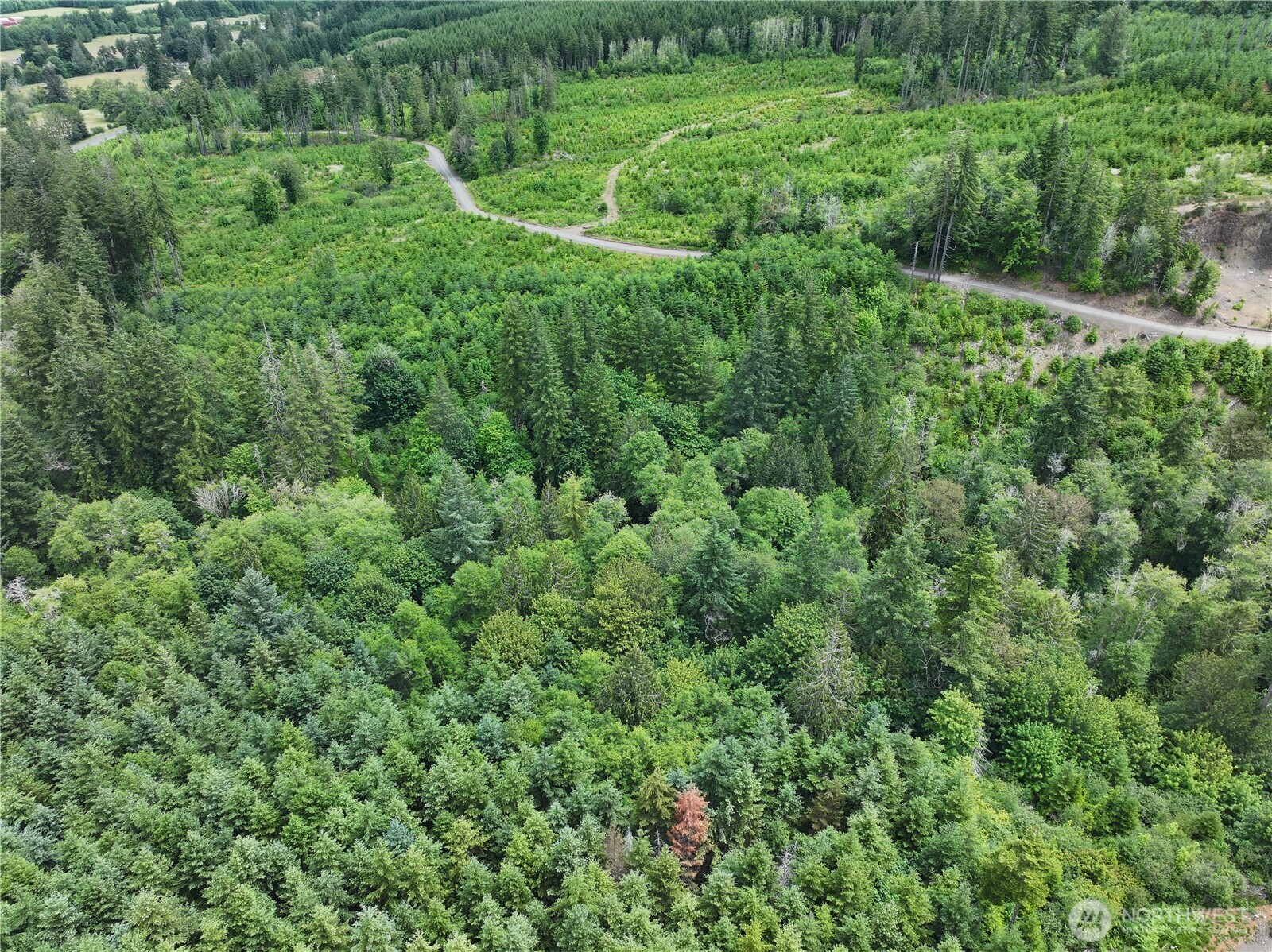 0 Hope Creek Road Property Photo 12