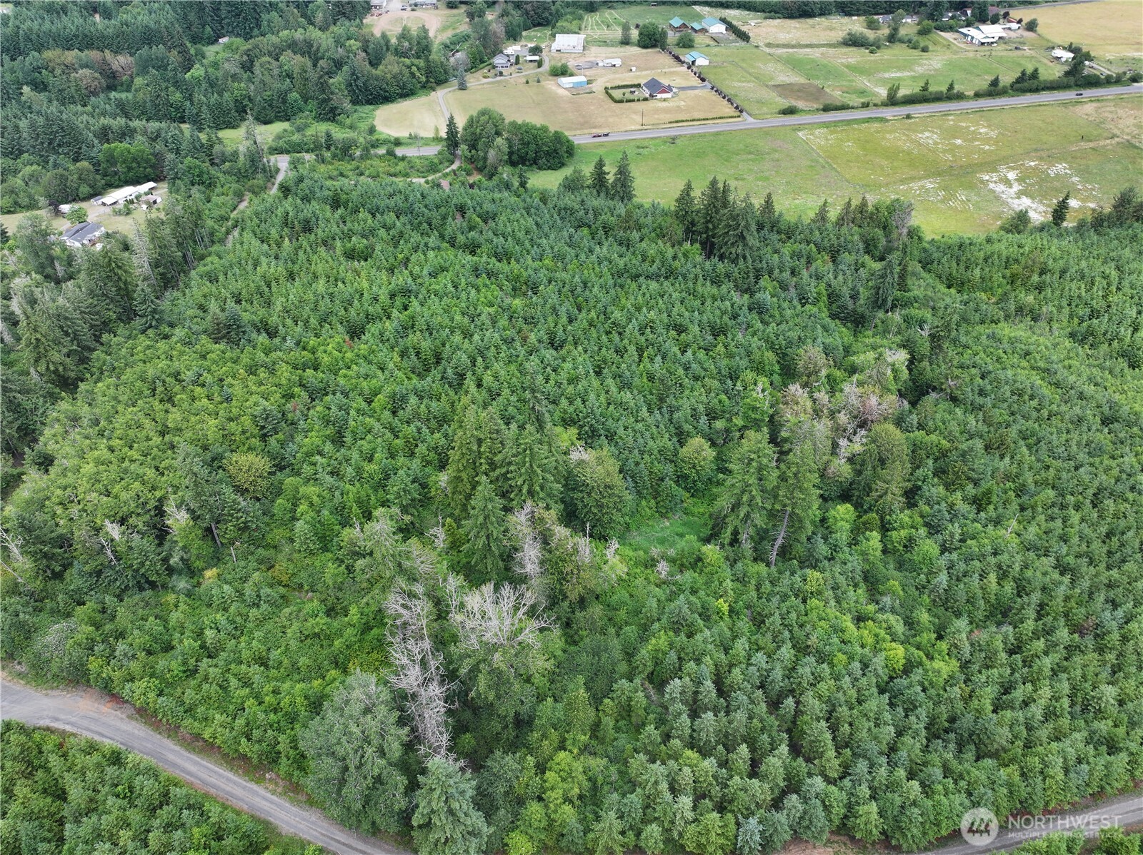 0 Hope Creek Road Property Photo 13